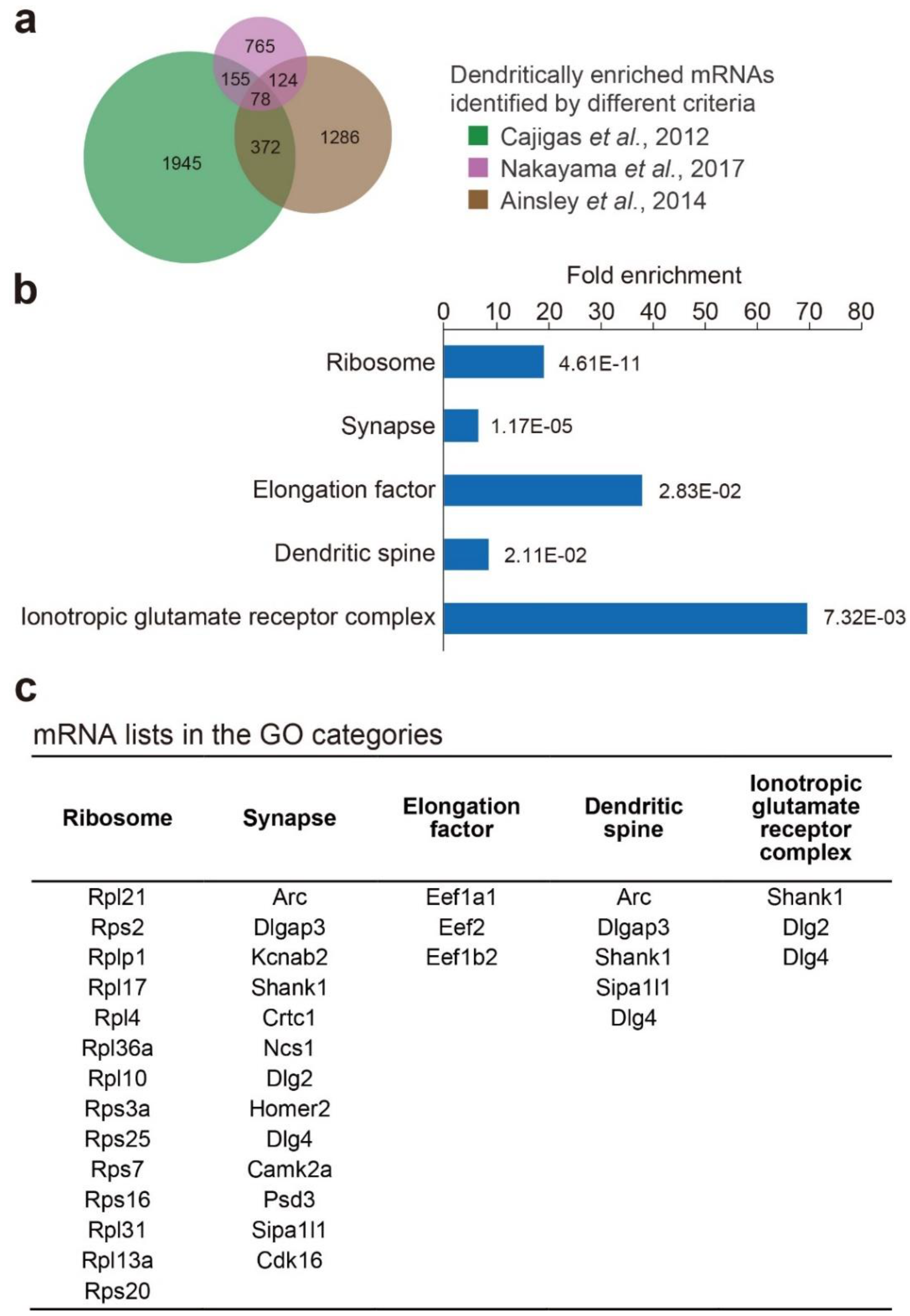 Biomolecules 10 00167 g002