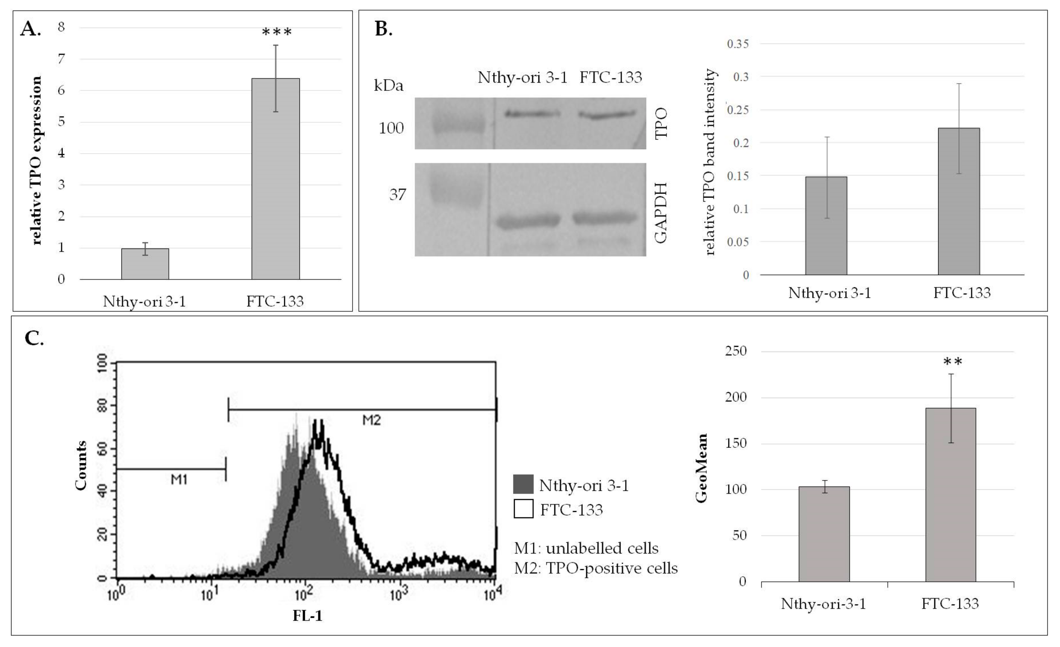 Biomolecules 10 00171 g002 Biomolecules 10 00171 g002