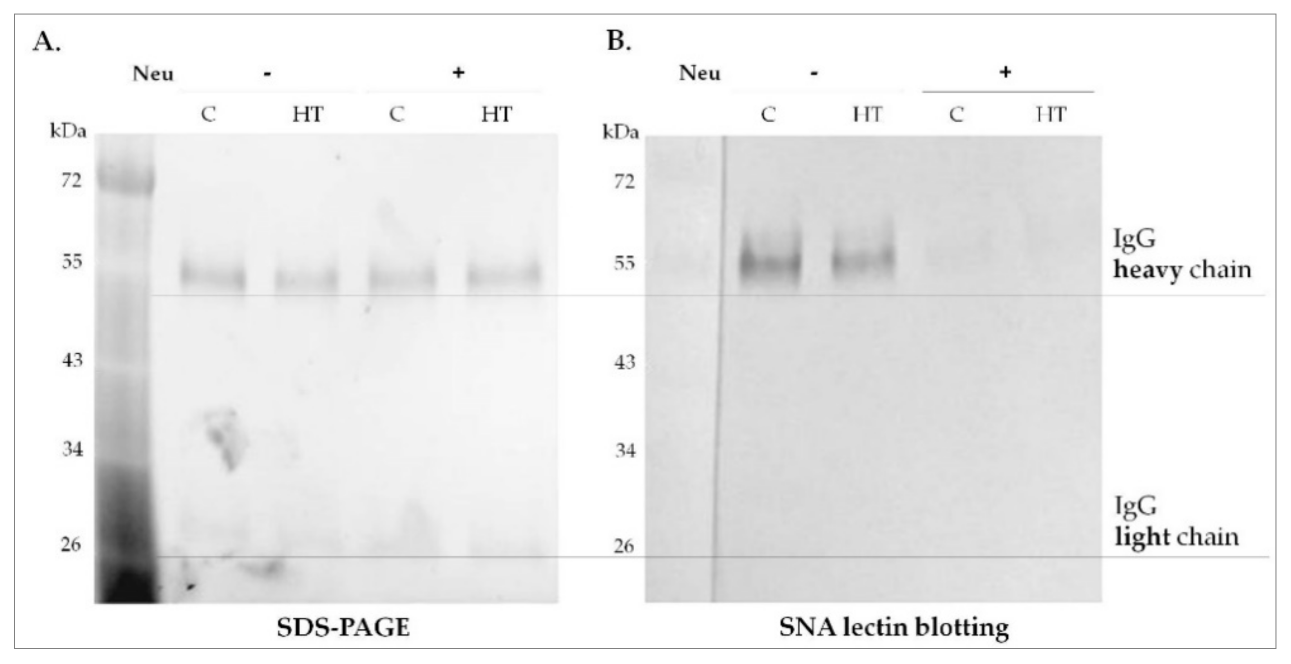 Biomolecules 10 00171 g003 Biomolecules 10 00171 g003