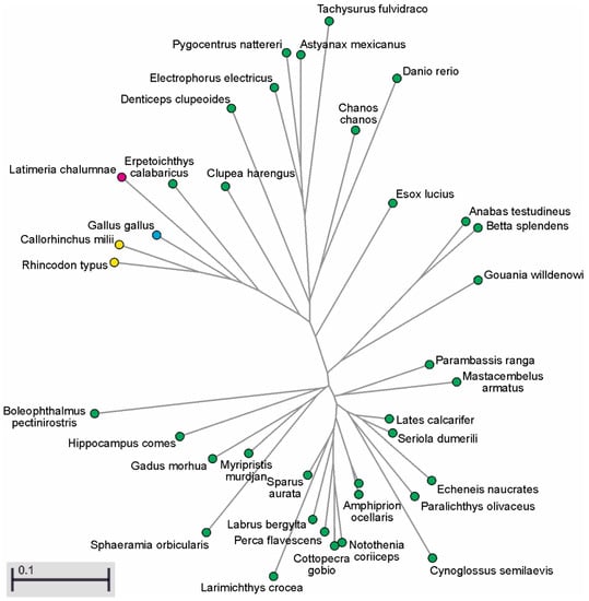 Biomolecules 10 00172 g0a6