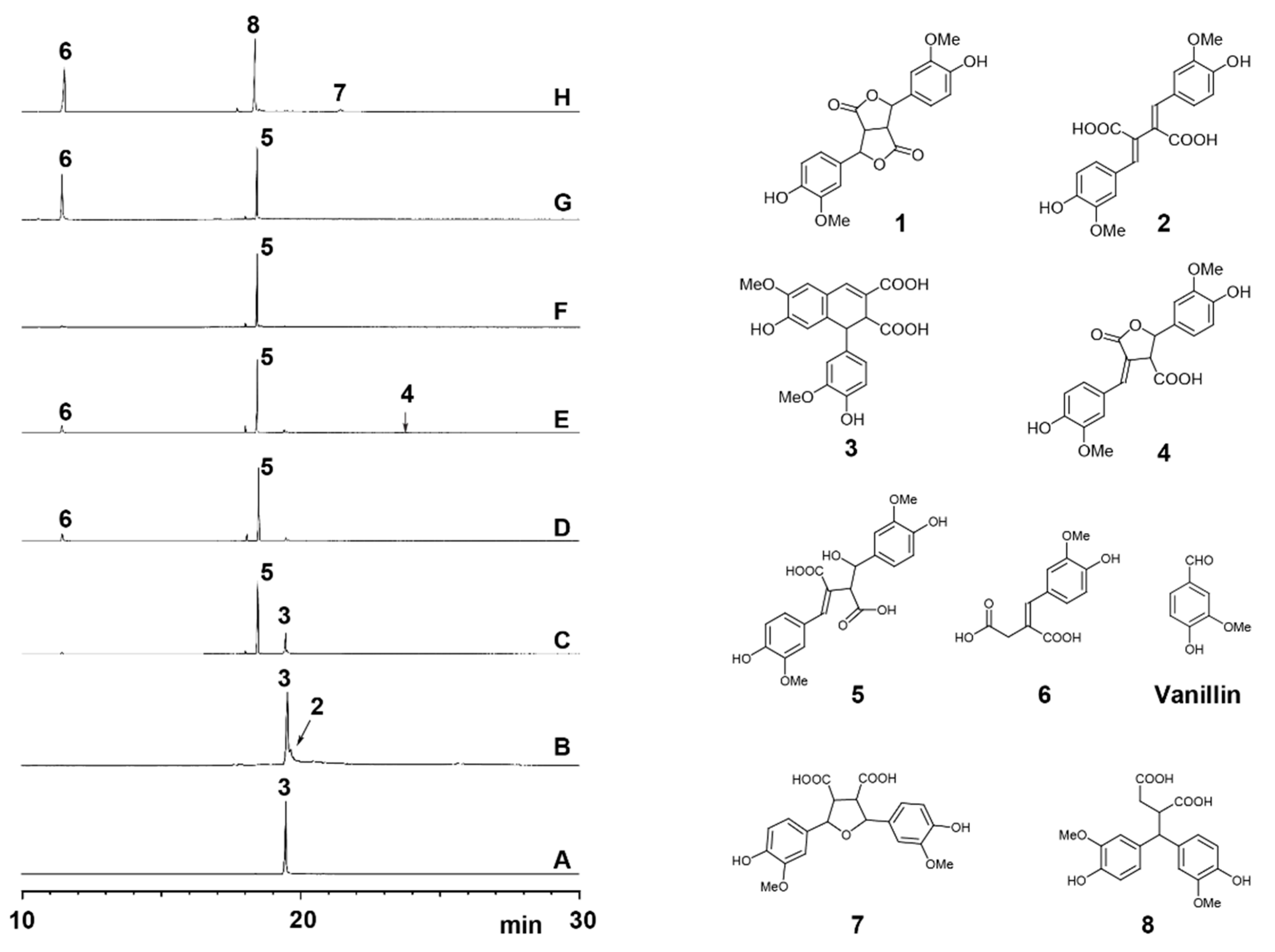 Biomolecules 10 00175 g001