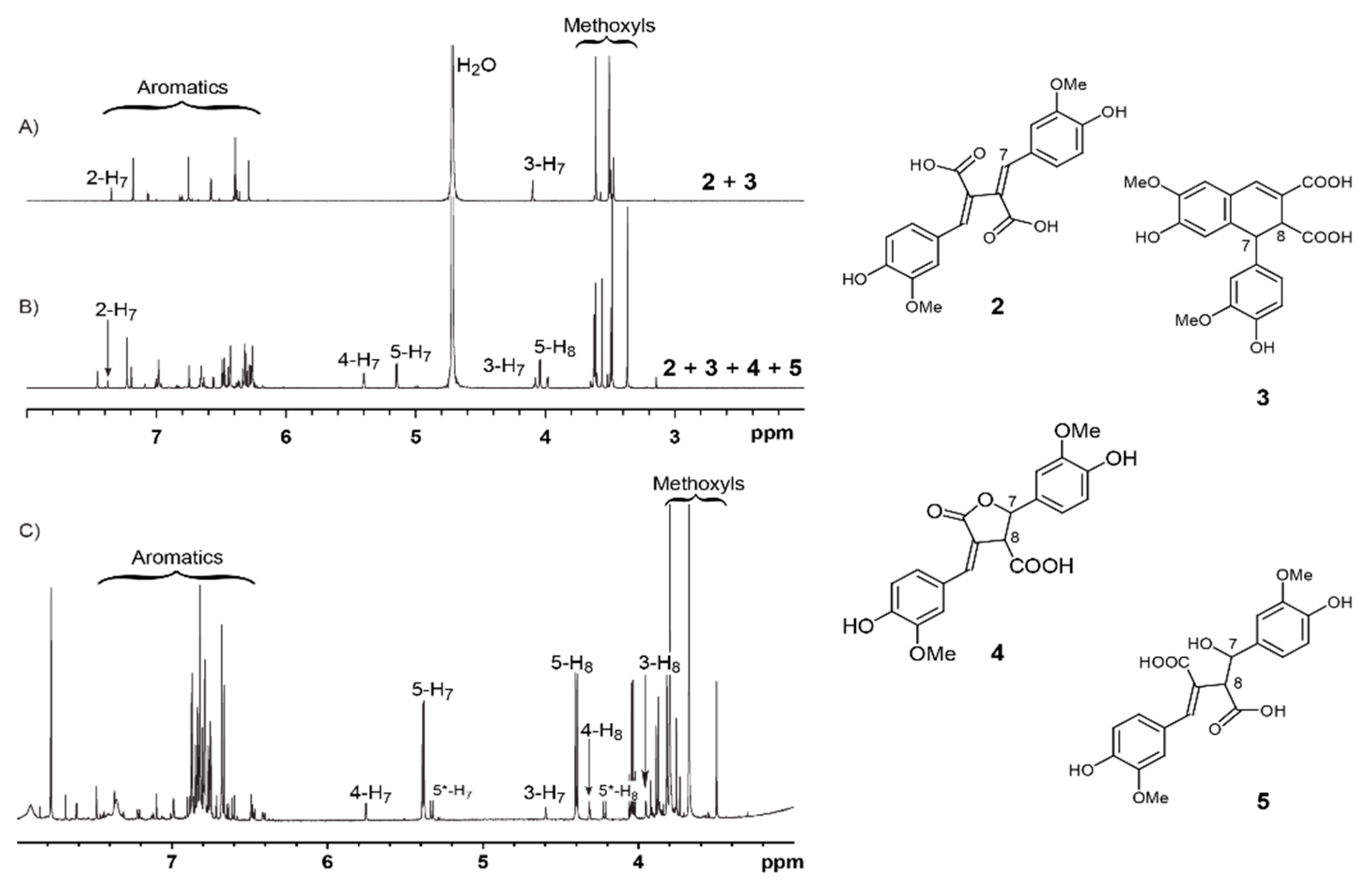 Biomolecules 10 00175 g002