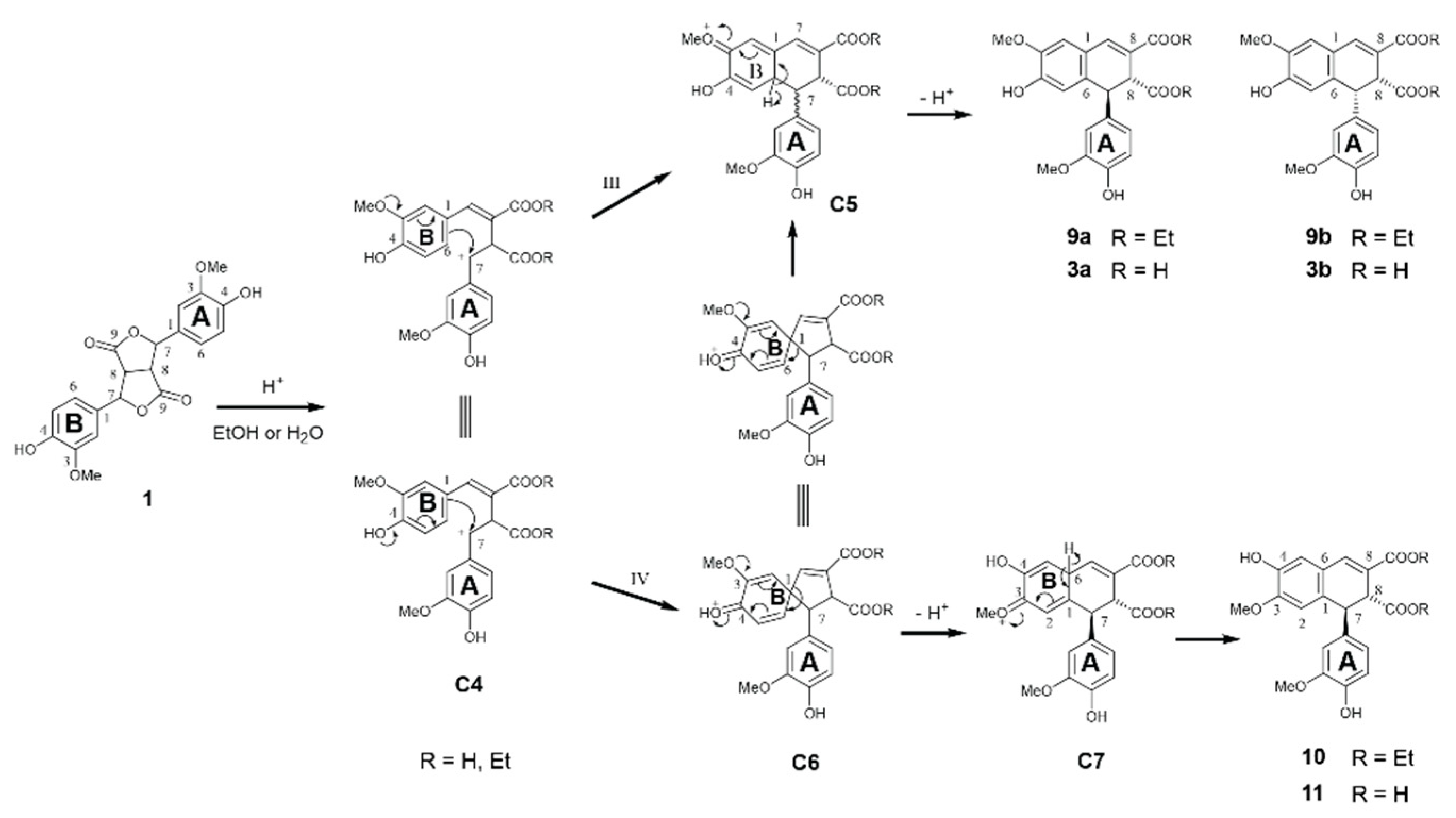 Biomolecules 10 00175 g007