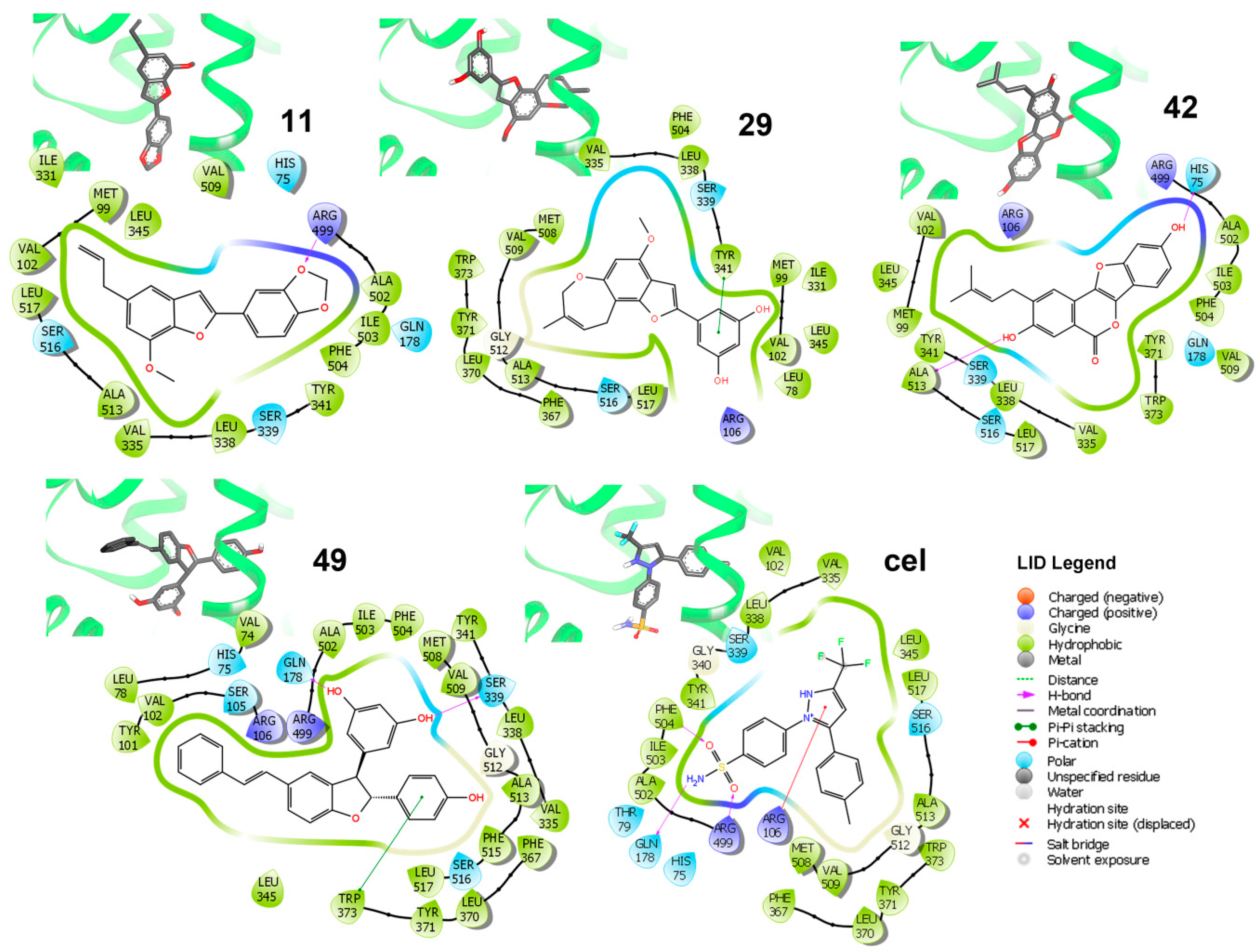 Biomolecules 10 00176 g005 Biomolecules 10 00176 g005