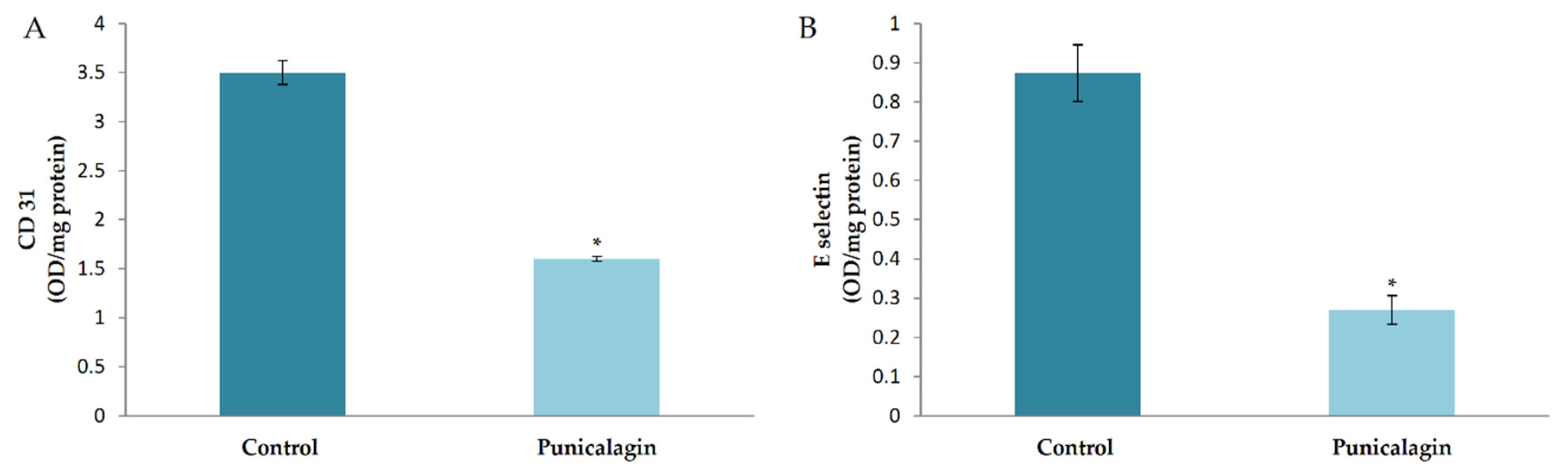 Biomolecules 10 00177 g003 Biomolecules 10 00177 g003
