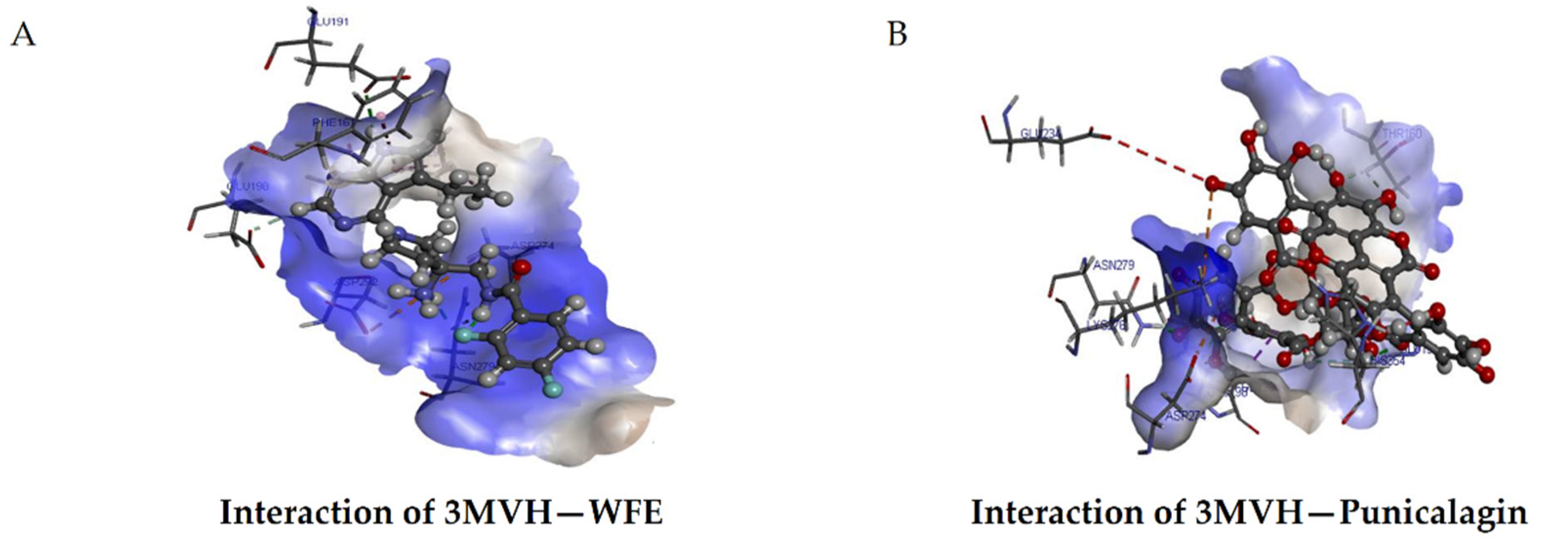 Biomolecules 10 00177 g006 Biomolecules 10 00177 g006