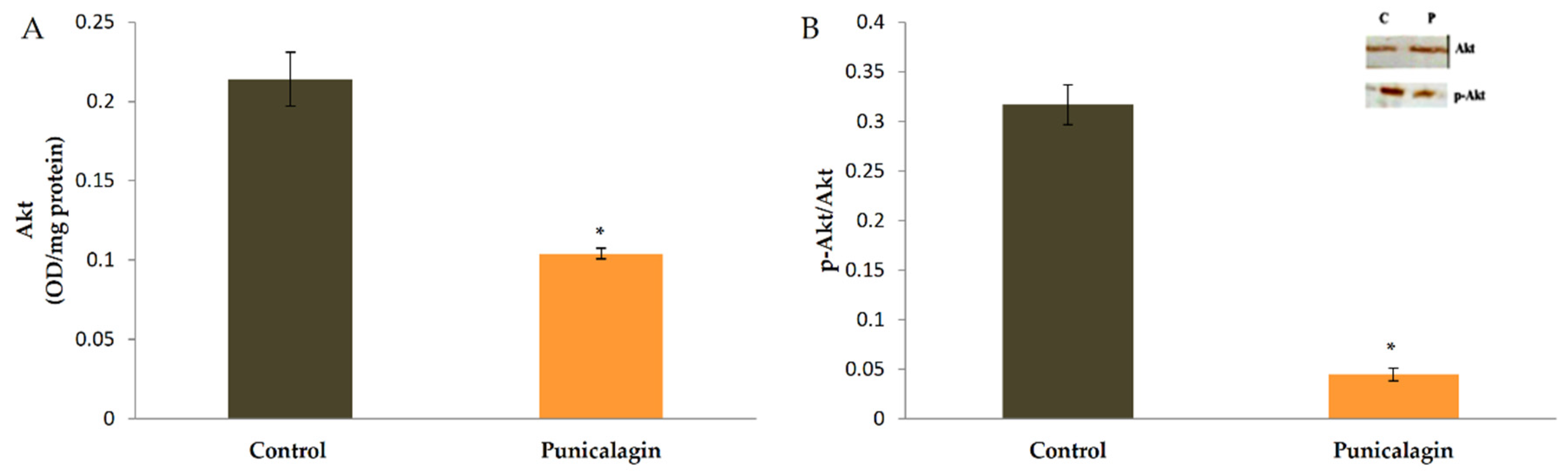 Biomolecules 10 00177 g007 Biomolecules 10 00177 g007