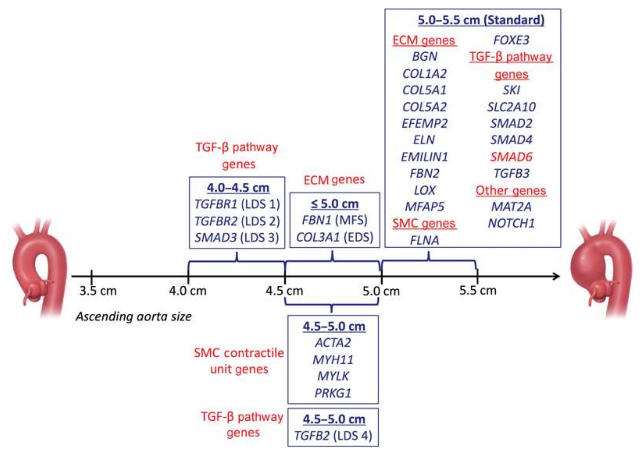 Biomolecules 10 00182 g001