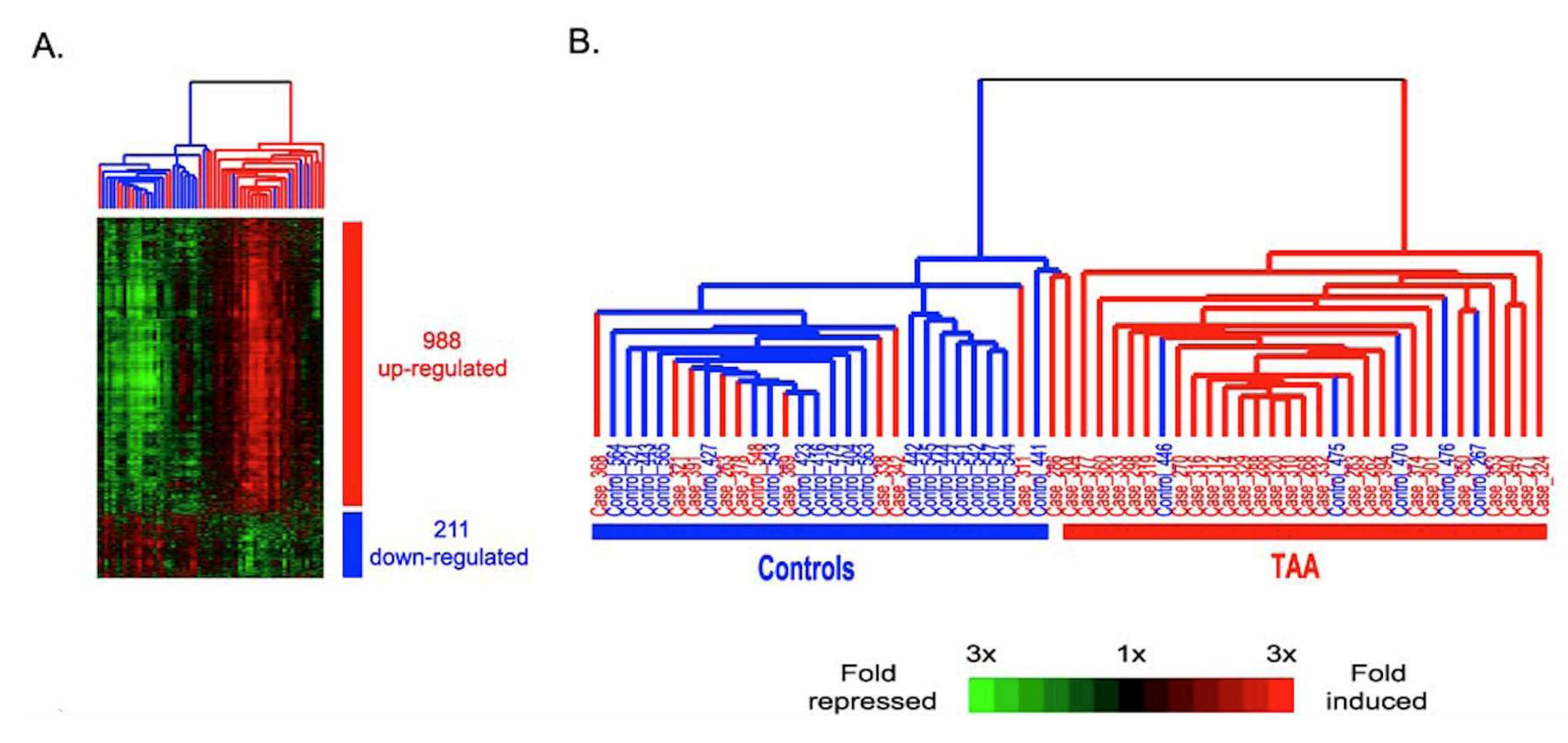 Biomolecules 10 00182 g005