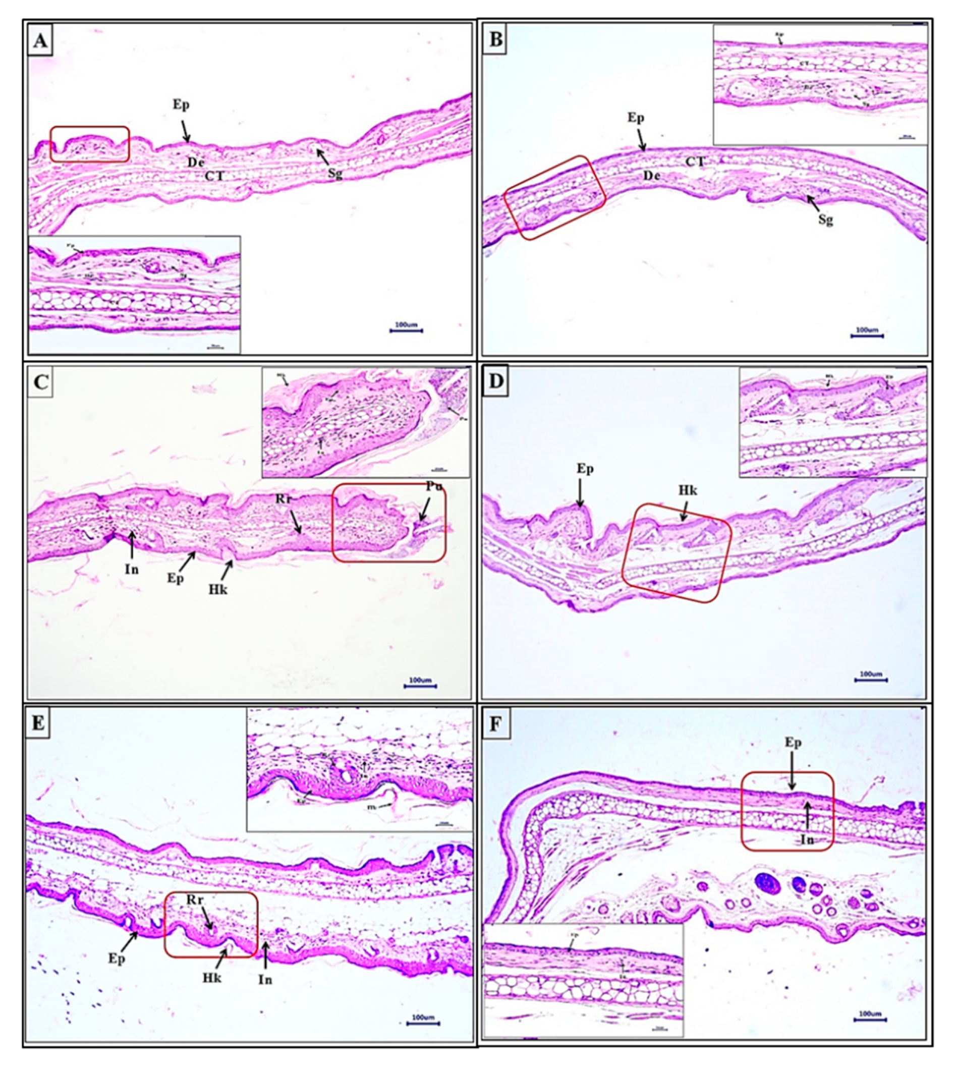 Biomolecules 10 00185 g006