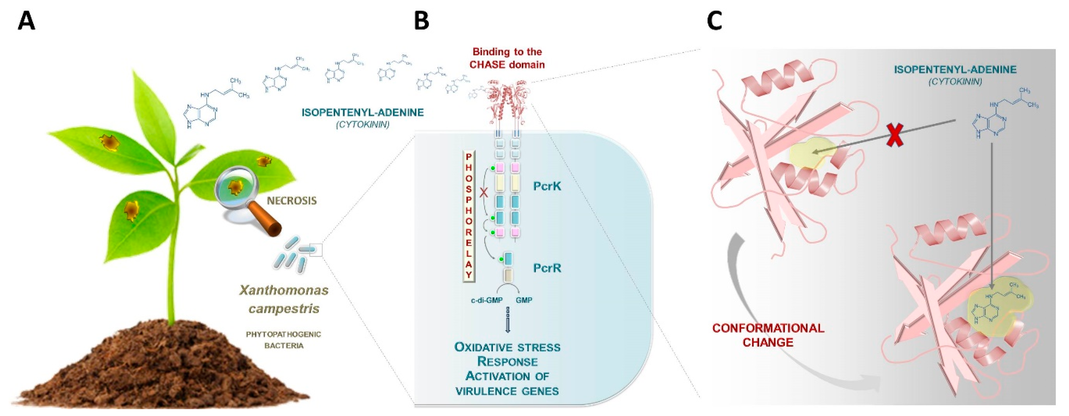 Biomolecules 10 00186 g001
