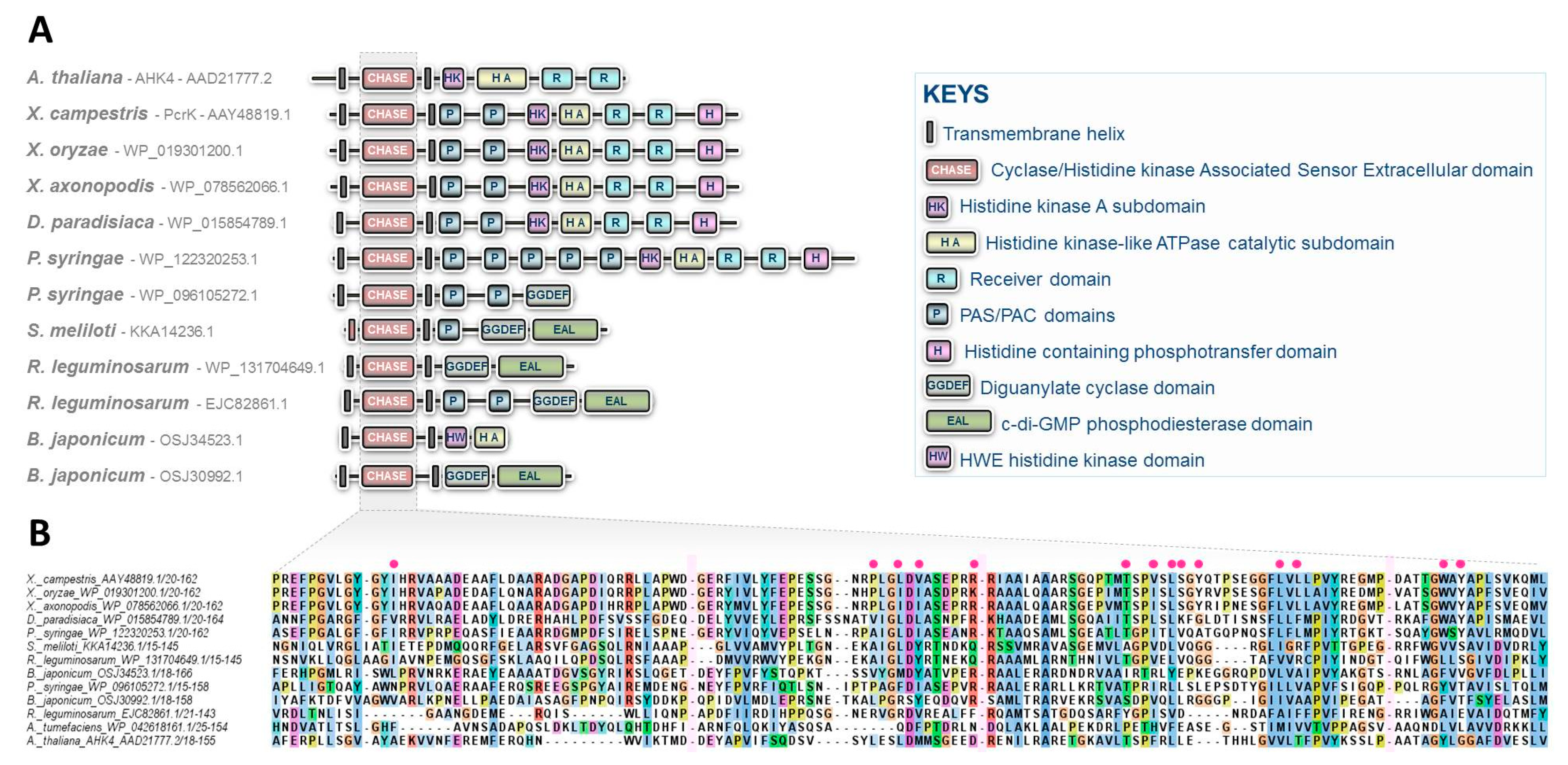 Biomolecules 10 00186 g002
