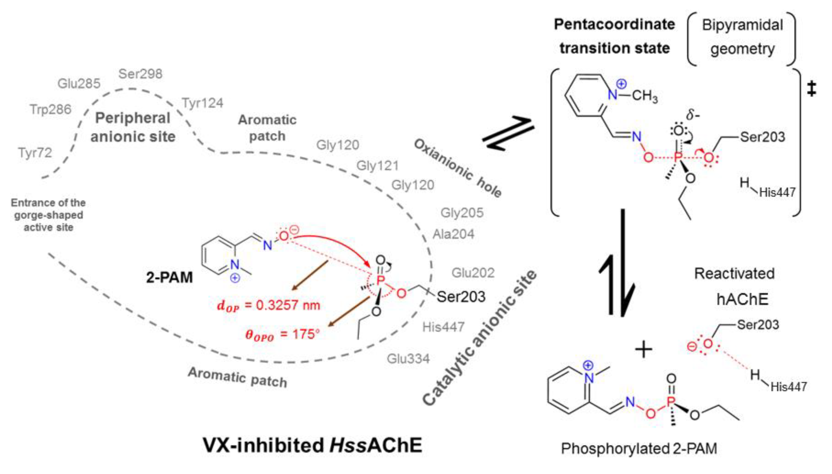 Biomolecules 10 00192 g001