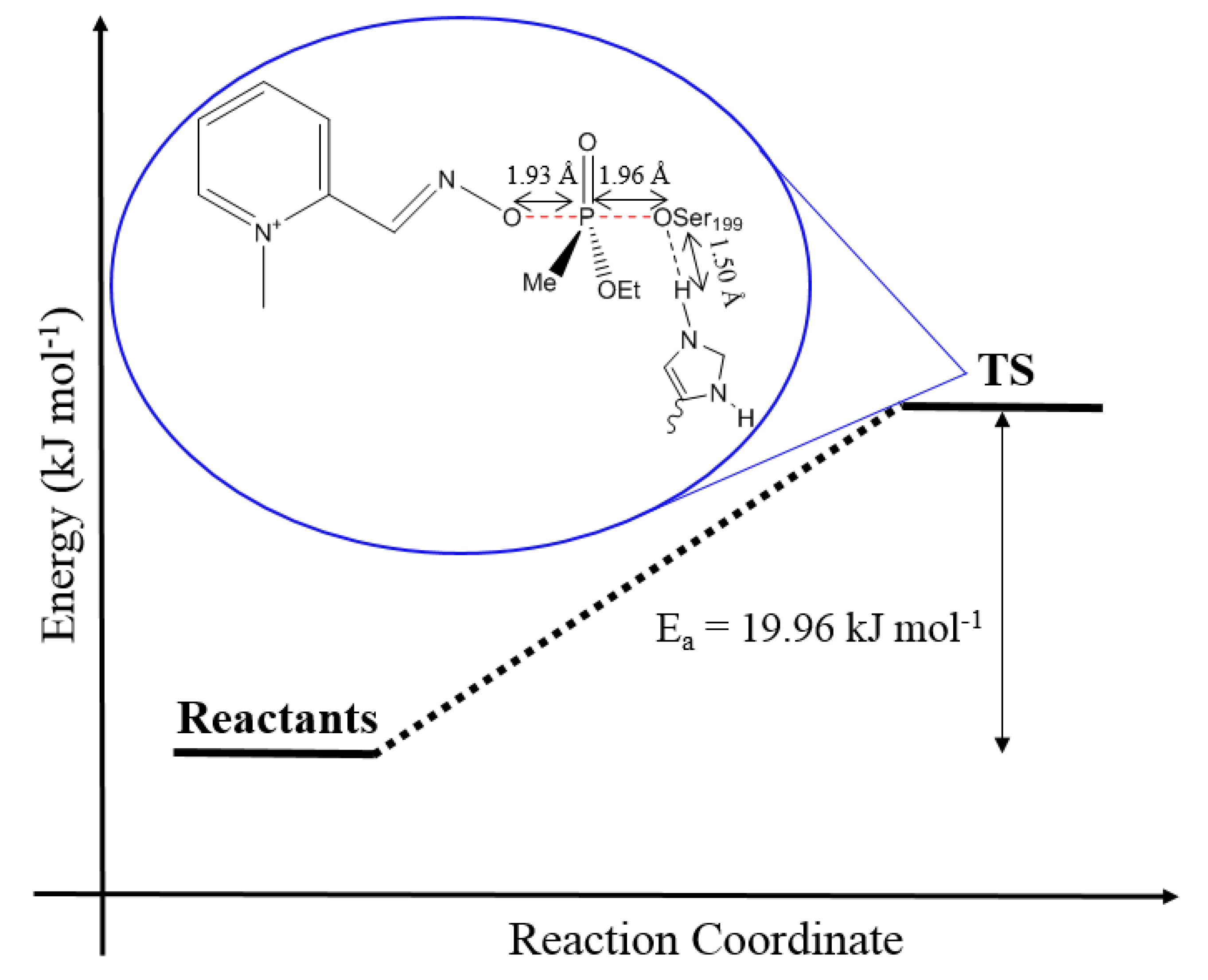 Biomolecules 10 00192 g005