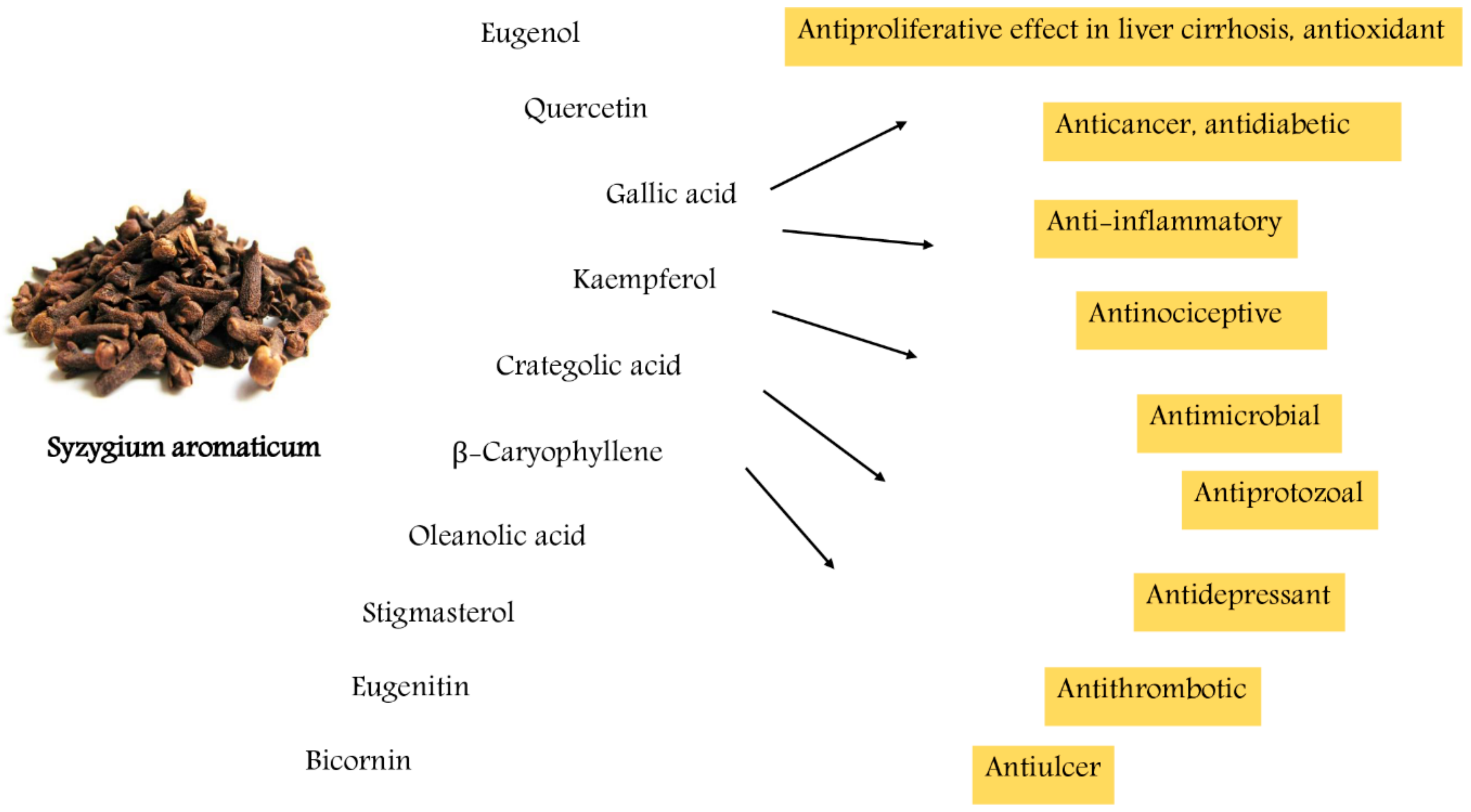 Biomolecules 10 00202 g001