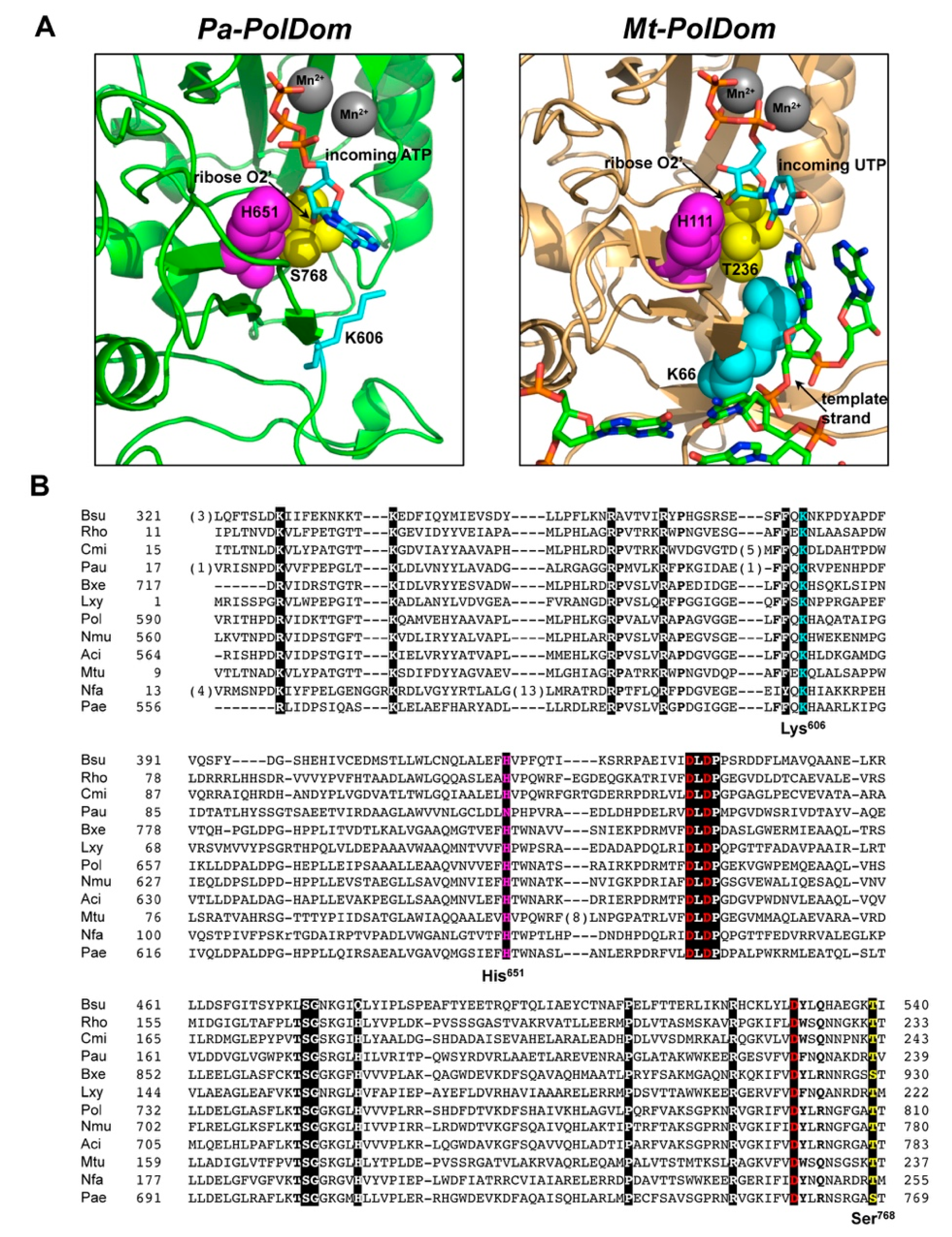 Biomolecules 10 00203 g001