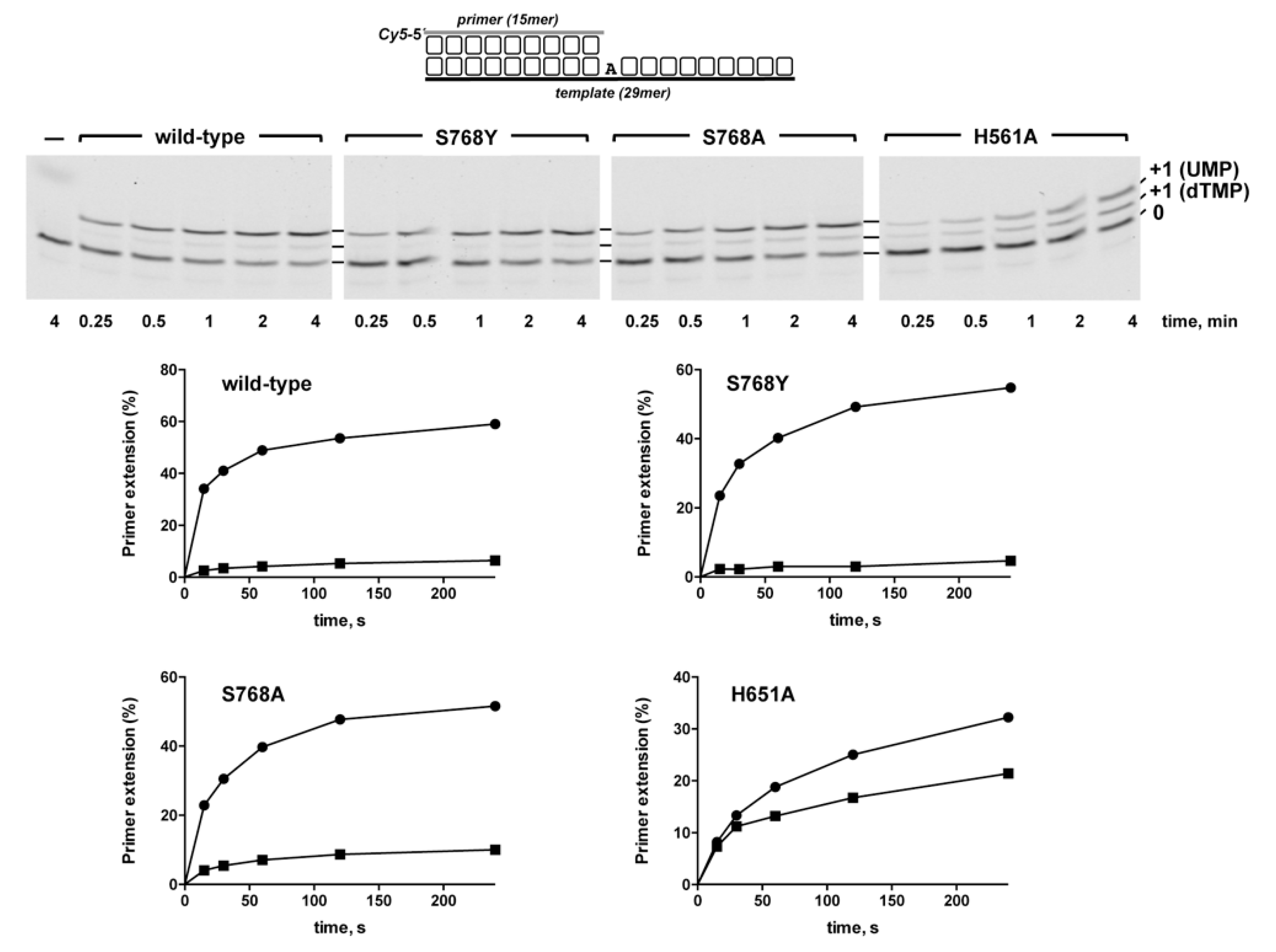 Biomolecules 10 00203 g002