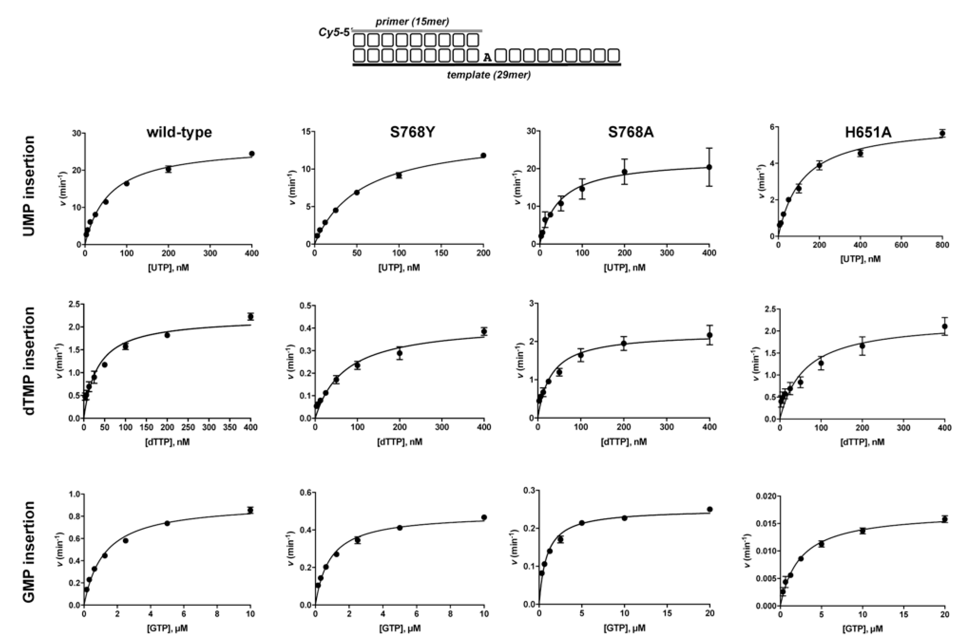 Biomolecules 10 00203 g003