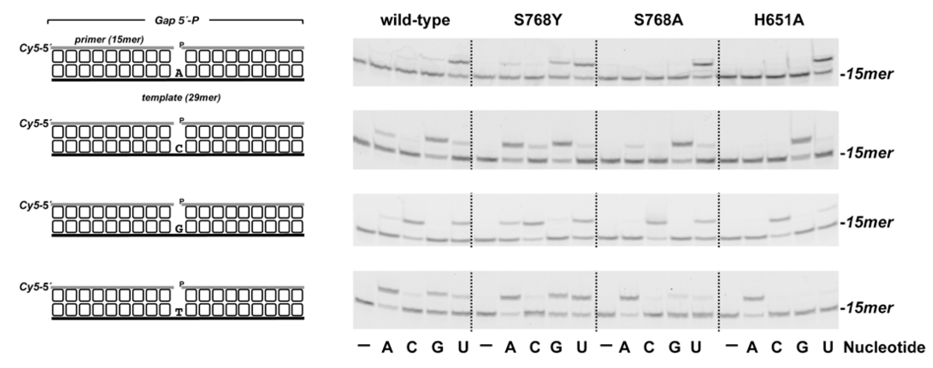 Biomolecules 10 00203 g004