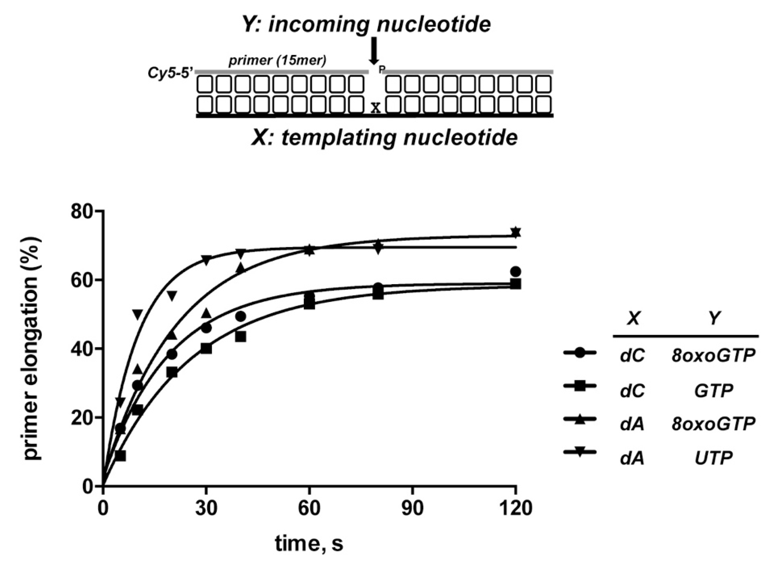 Biomolecules 10 00203 g010