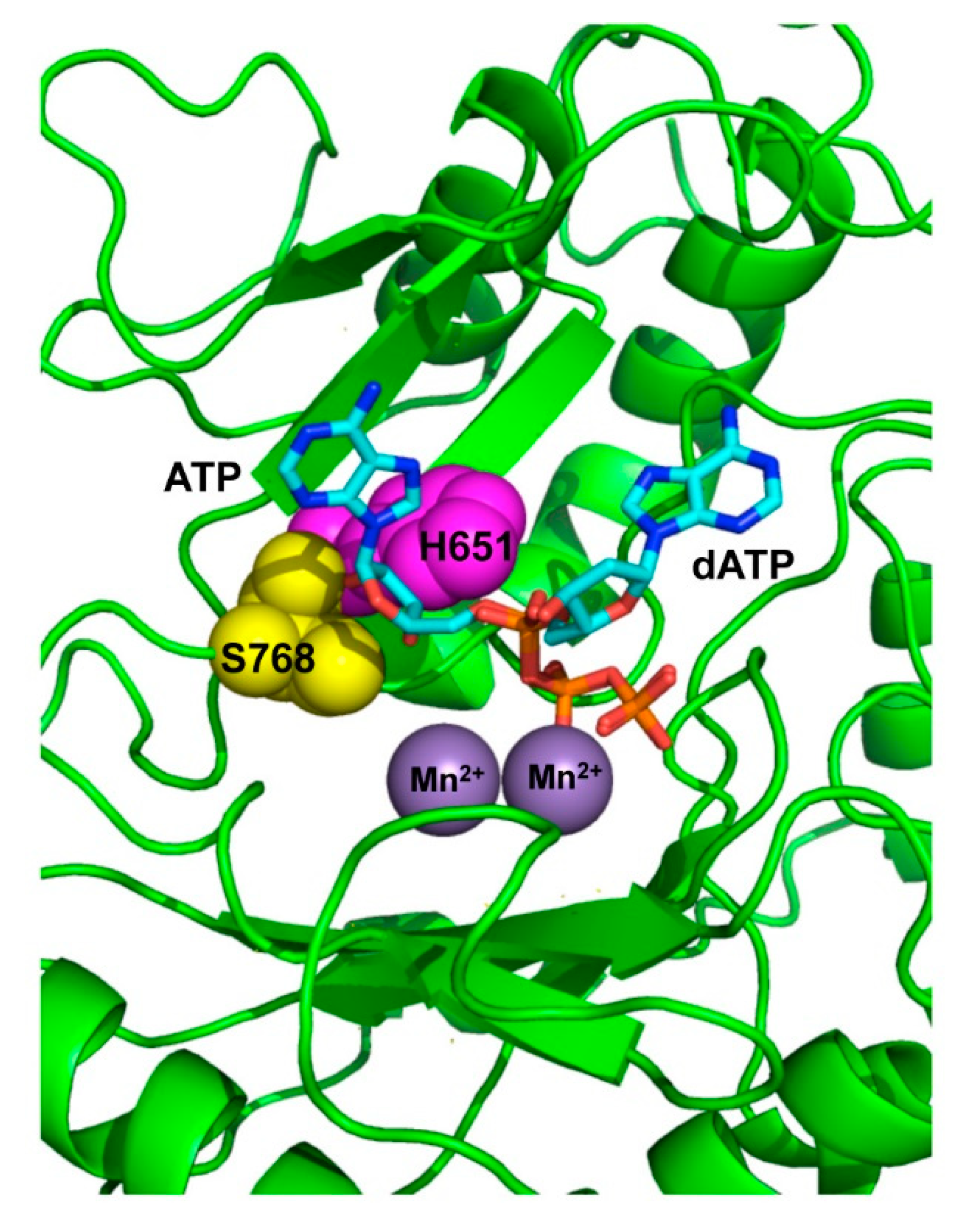Biomolecules 10 00203 g0a1