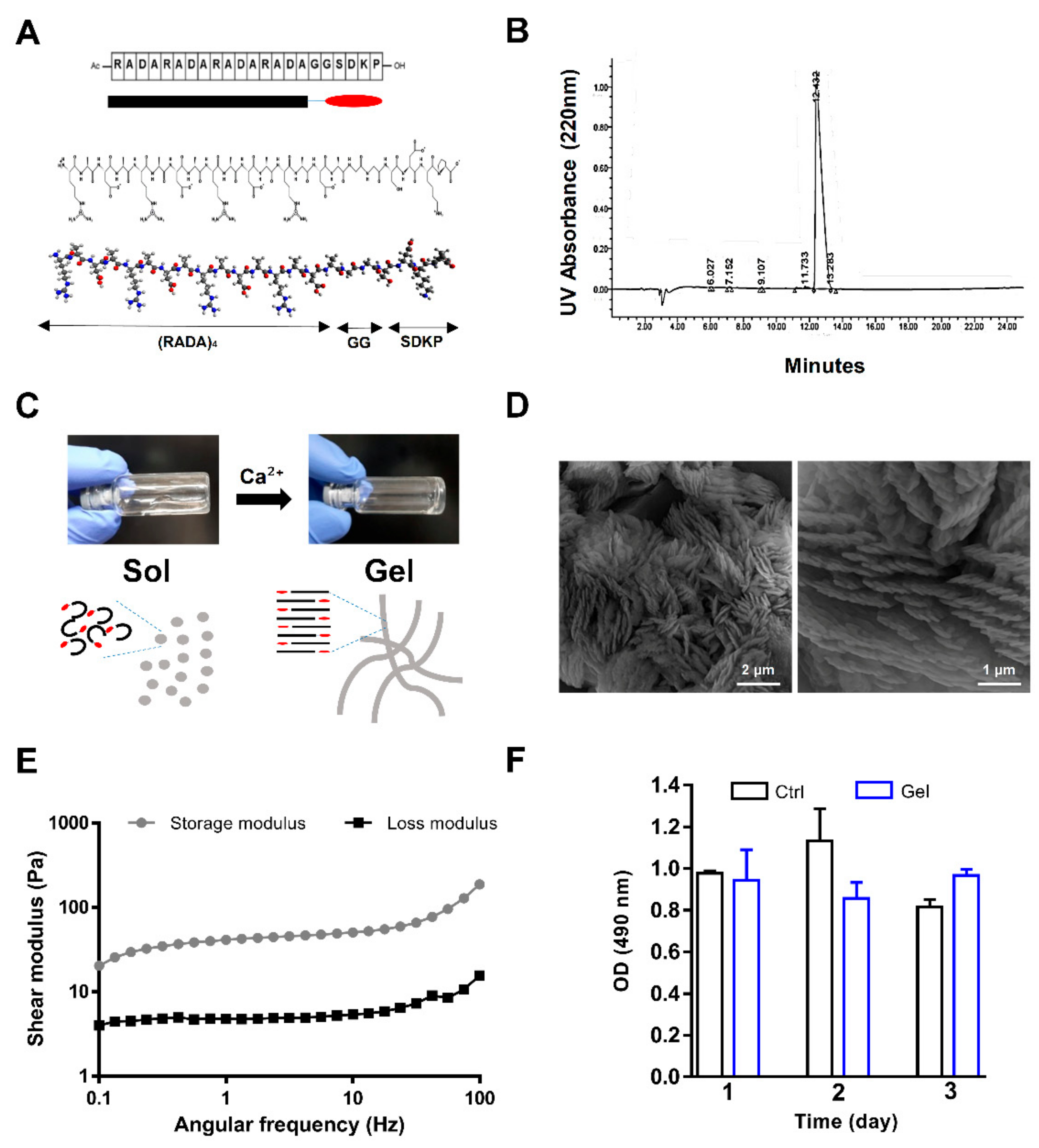 Biomolecules 10 00205 g001 Biomolecules 10 00205 g001