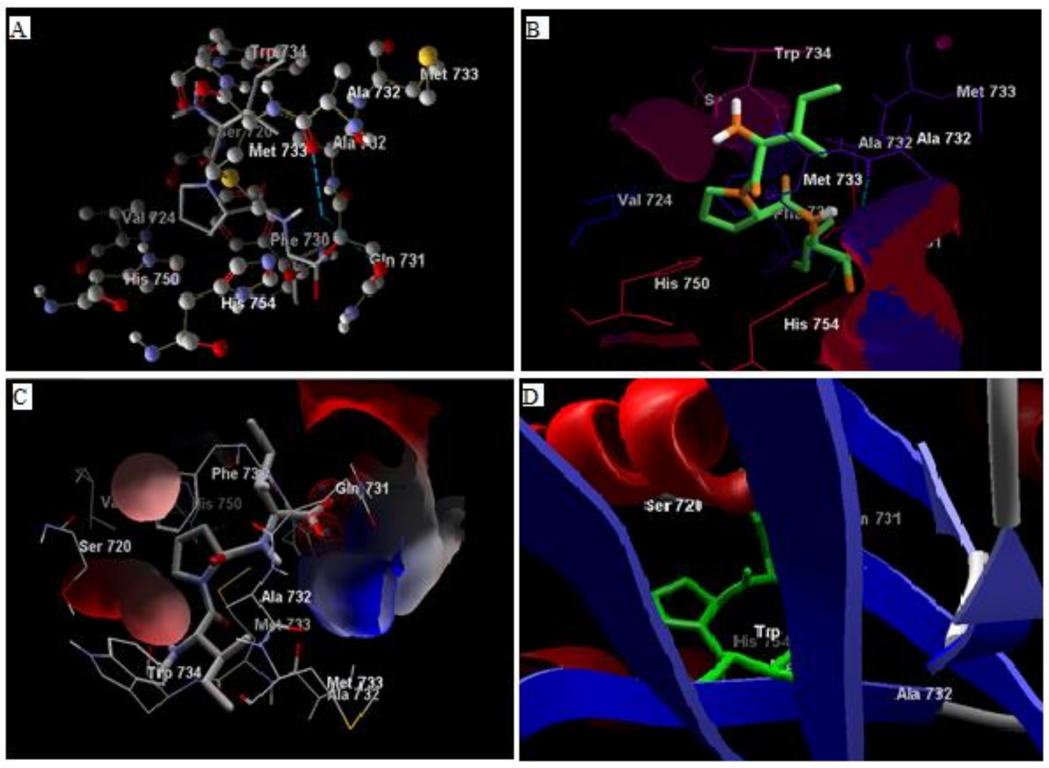 Biomolecules 10 00207 g001