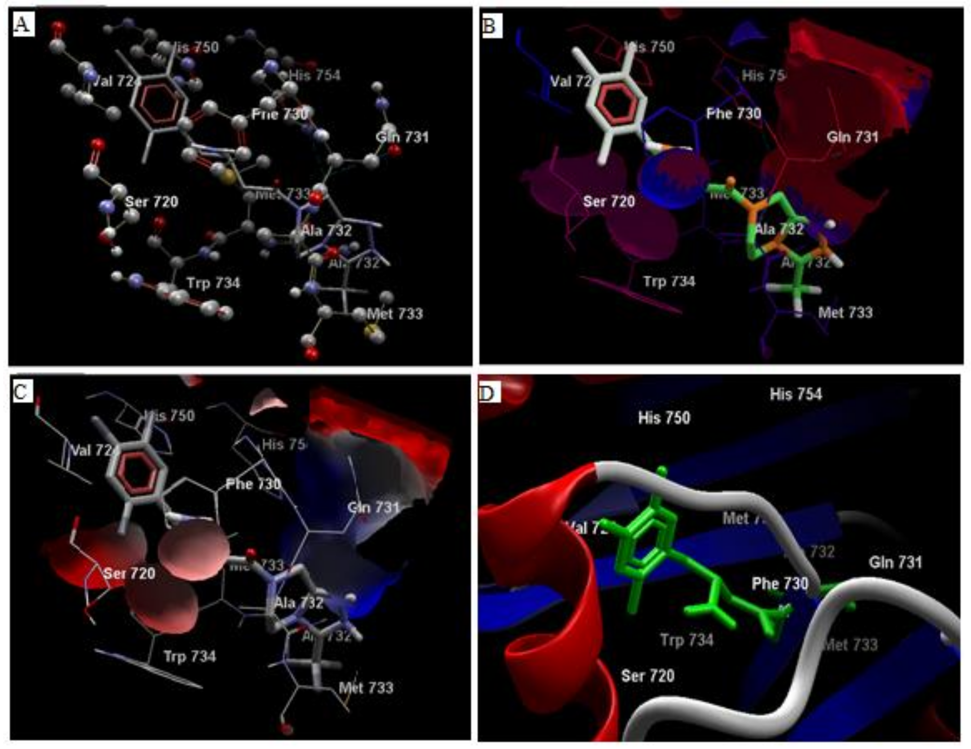 Biomolecules 10 00207 g004