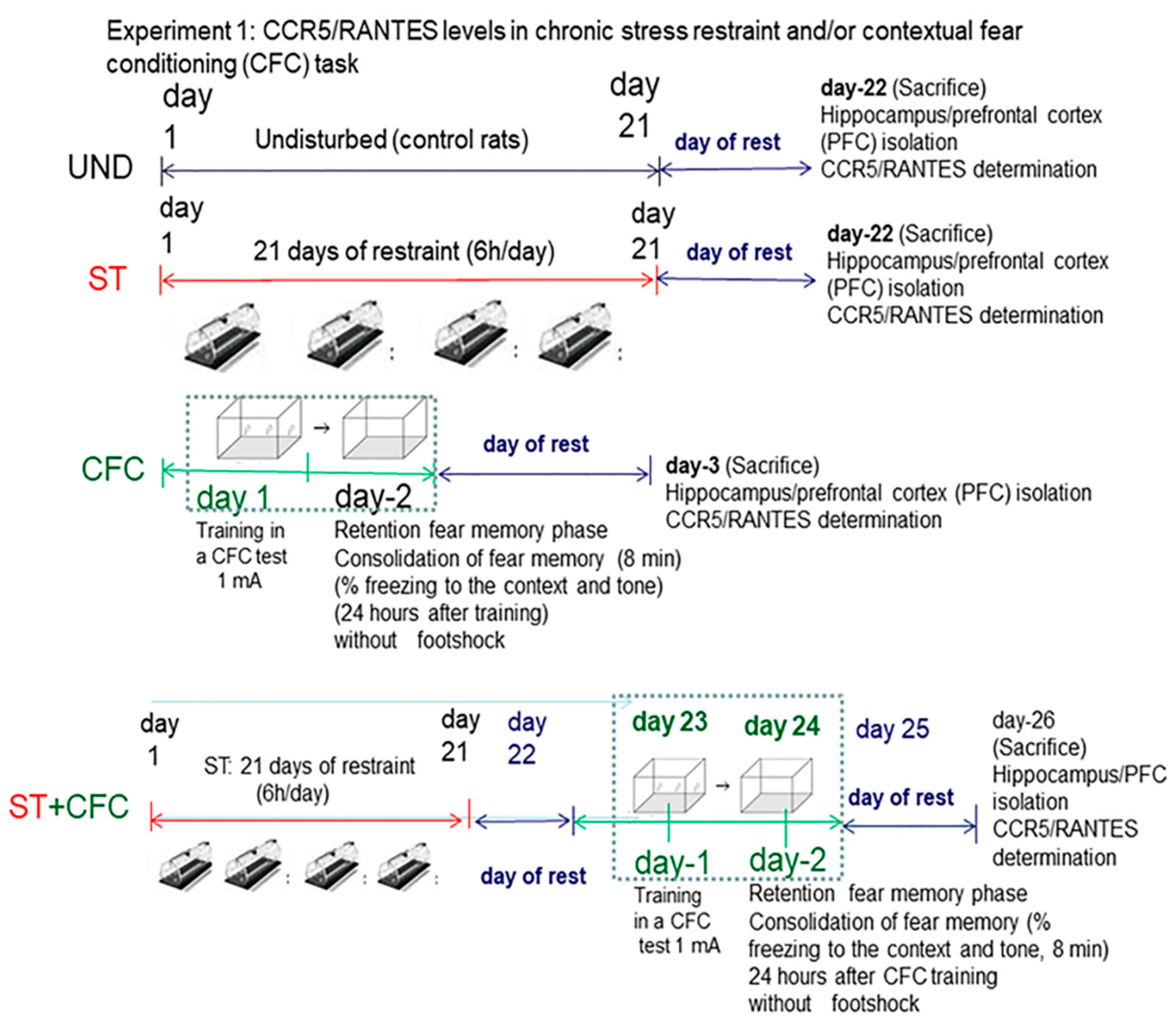 Biomolecules 10 00212 g001