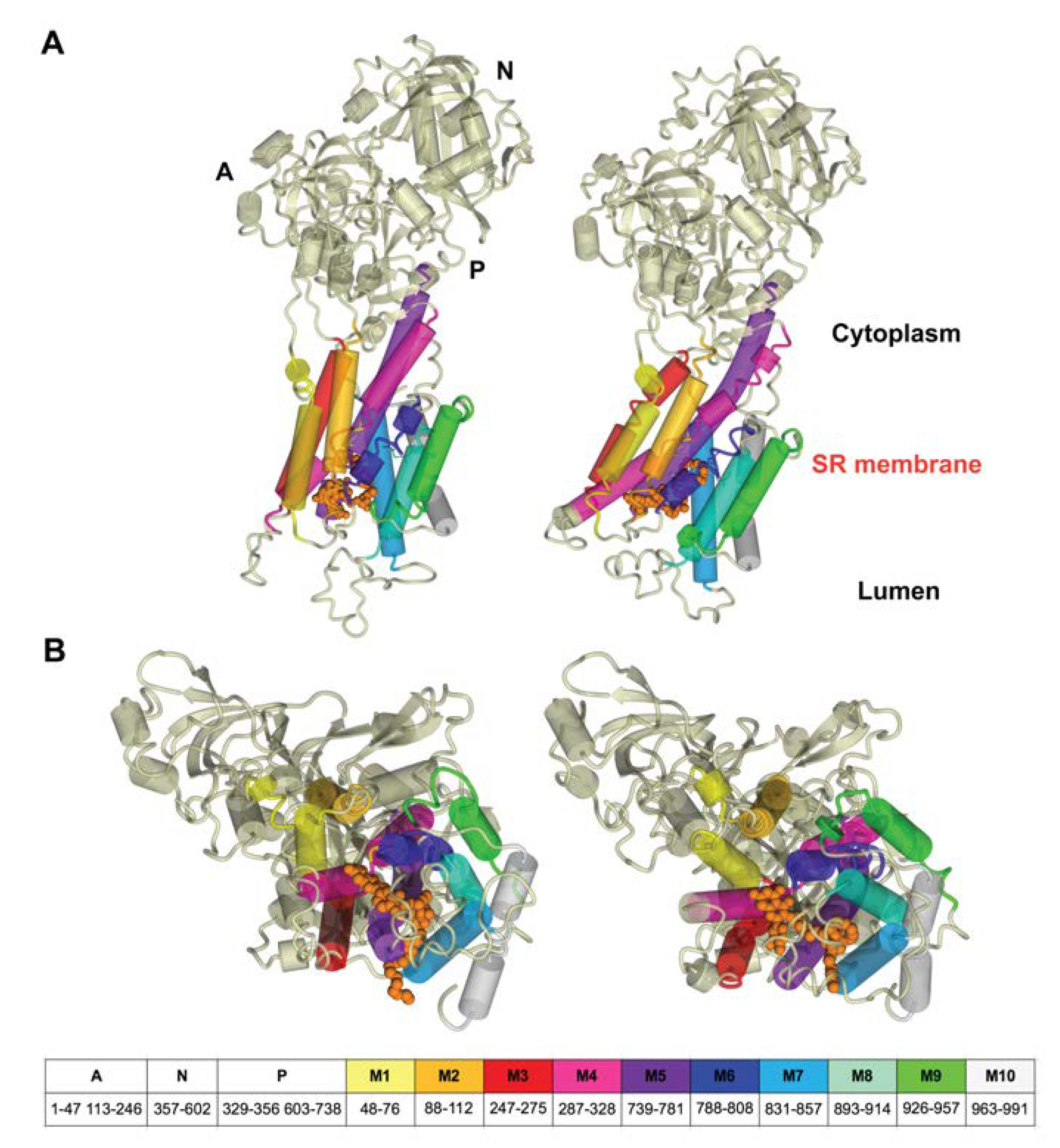 Biomolecules 10 00214 g007