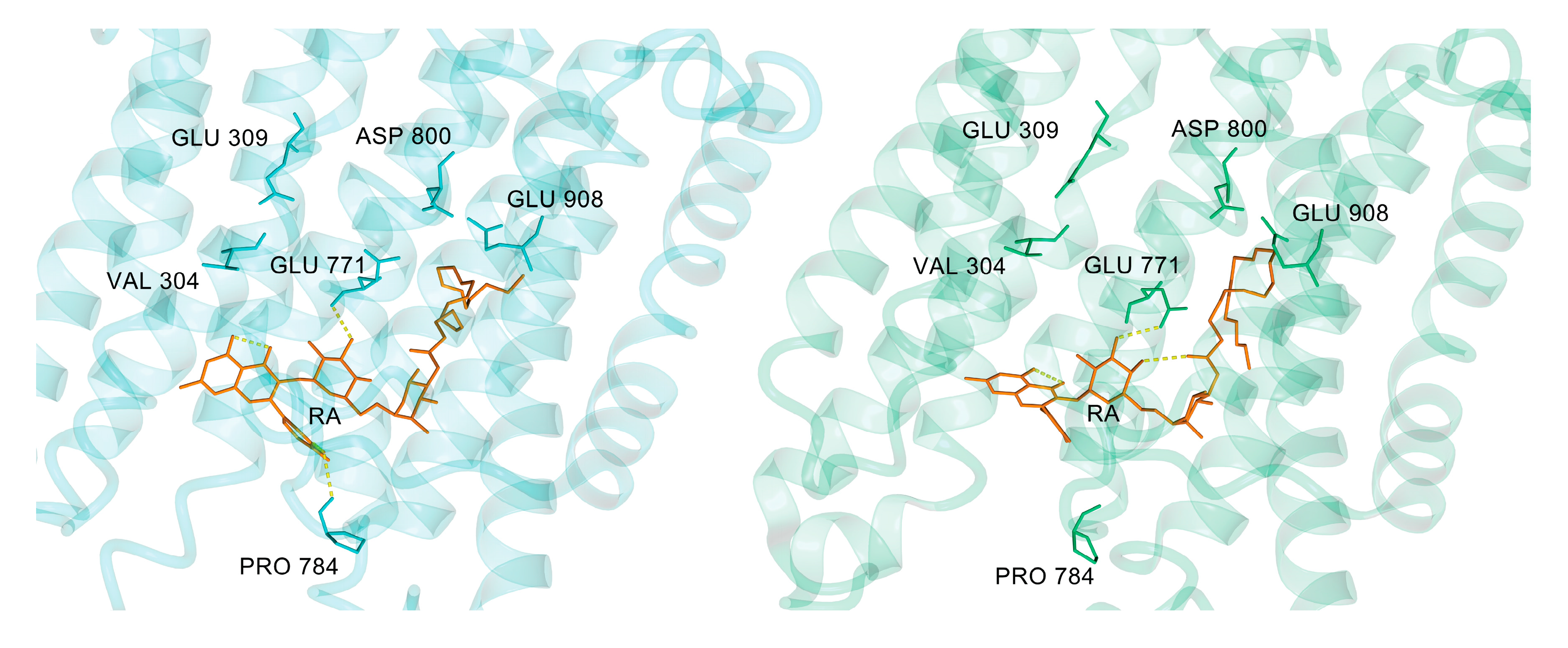 Biomolecules 10 00214 g008