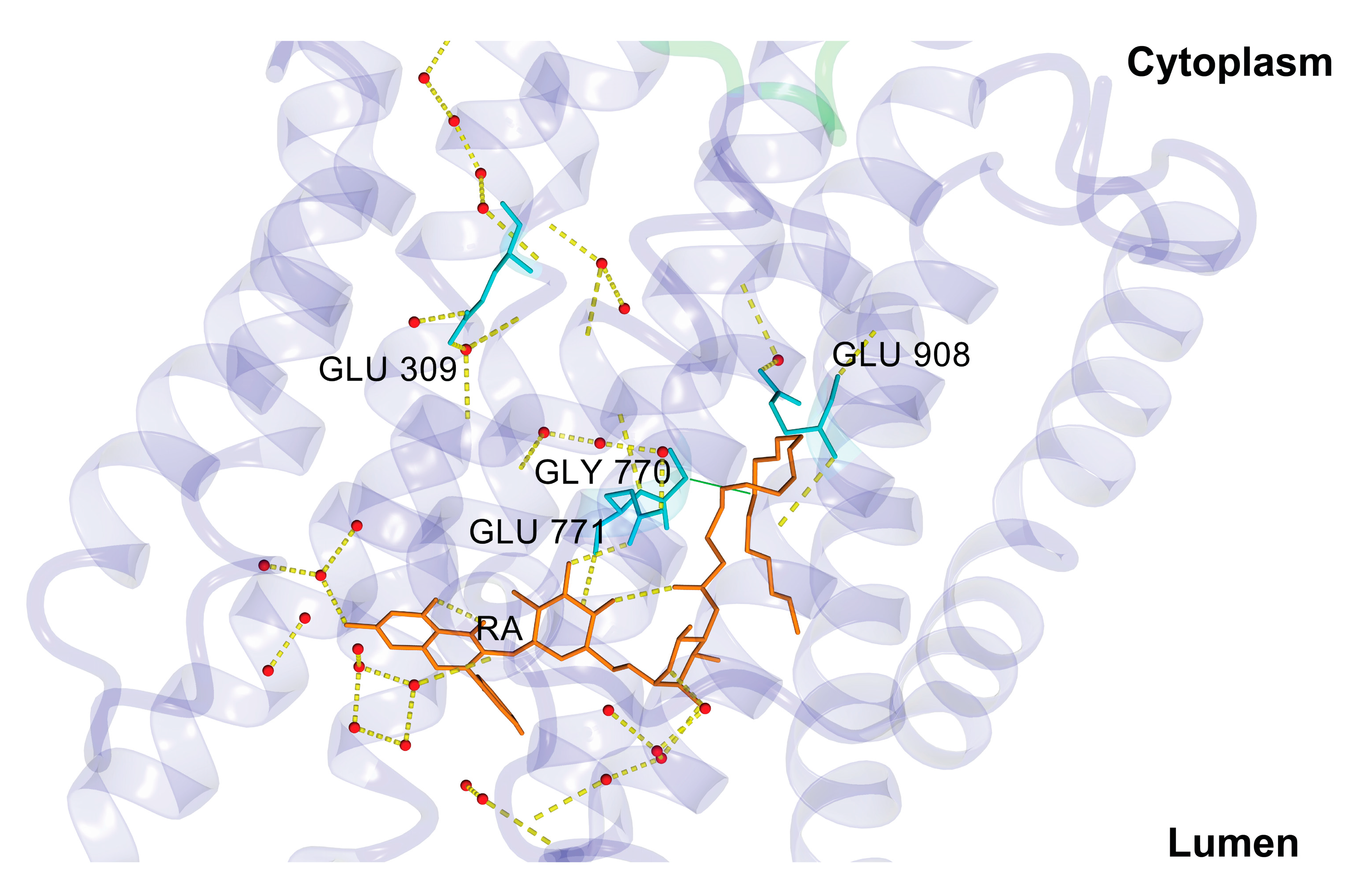 Biomolecules 10 00214 g010