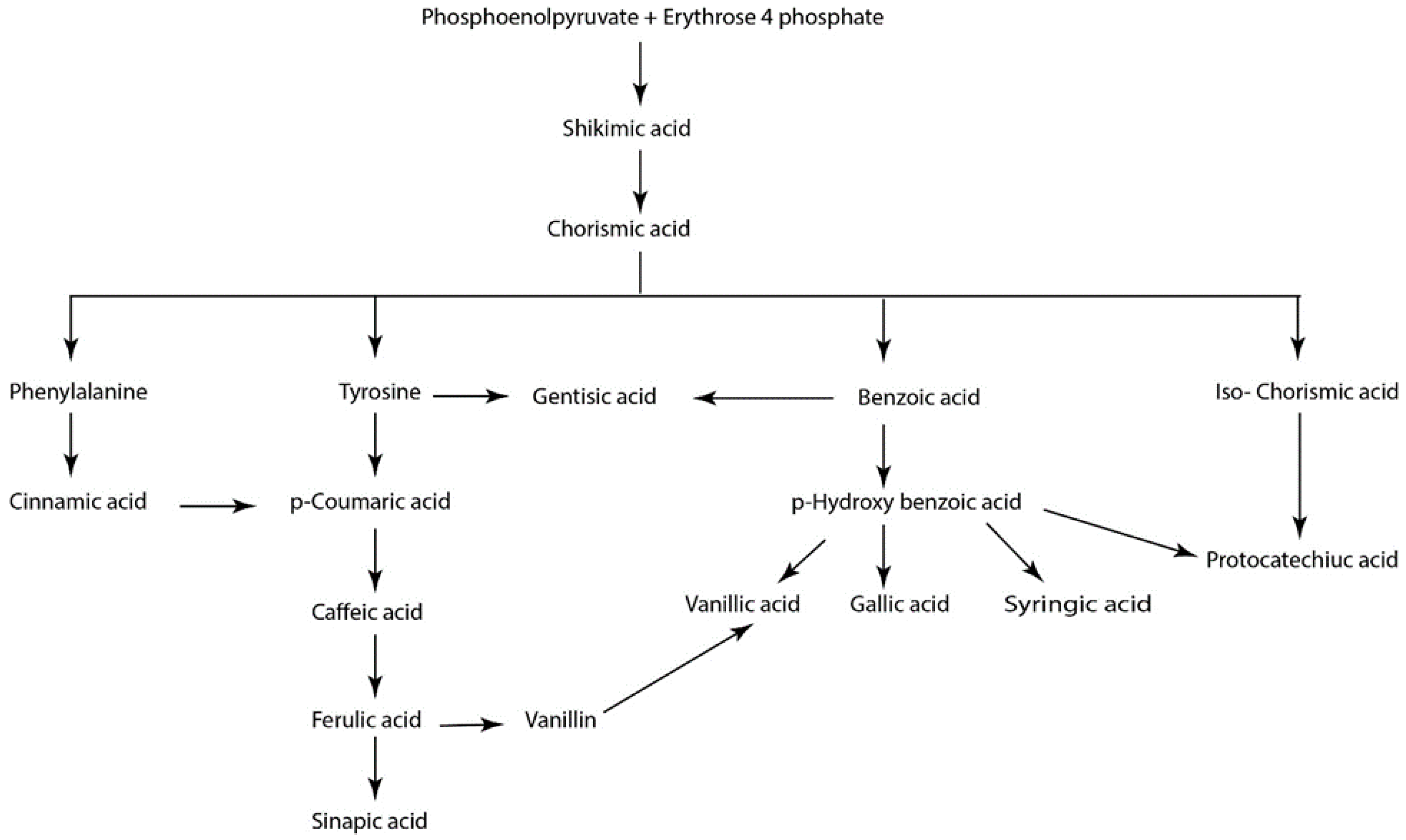 Biomolecules 10 00221 g002