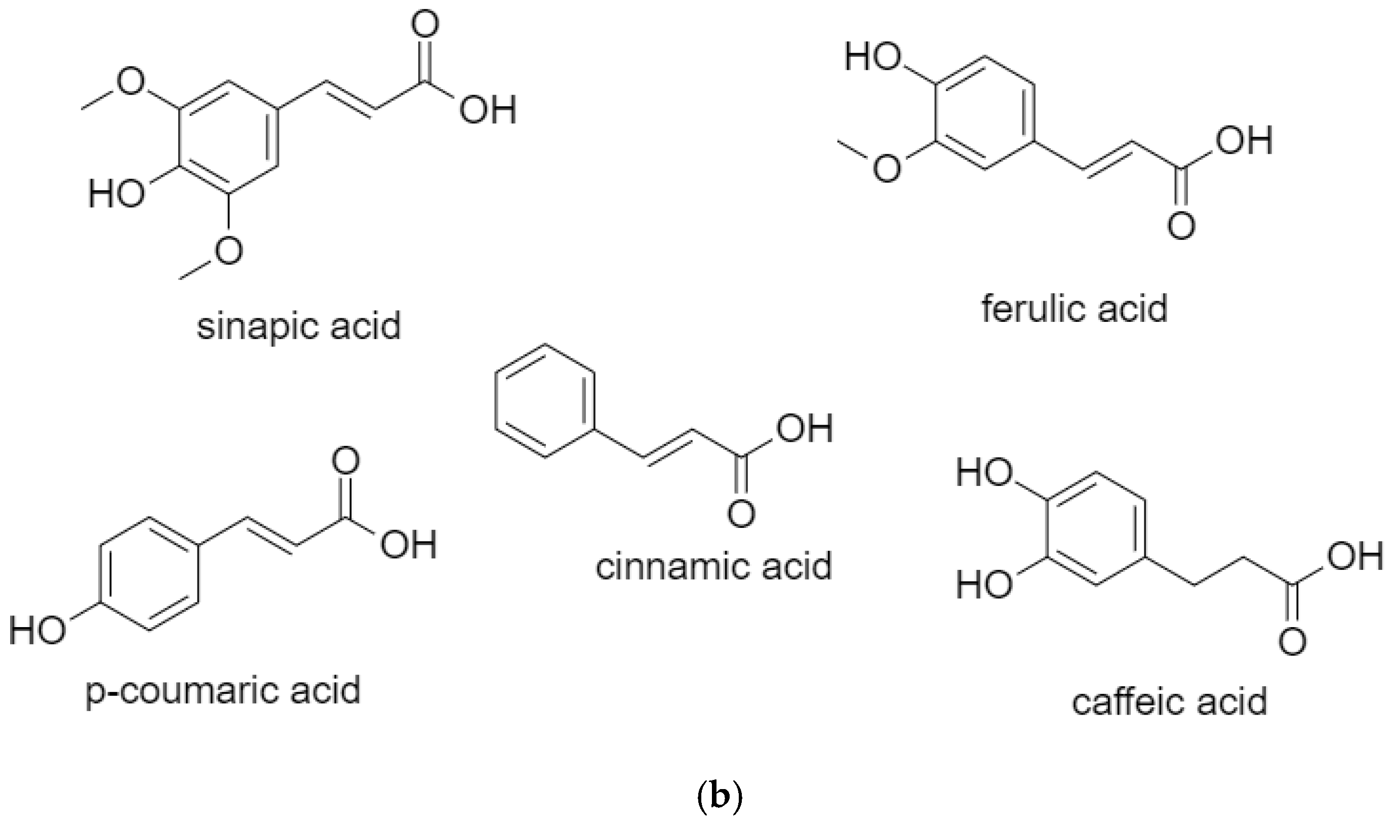 Biomolecules 10 00221 g003b