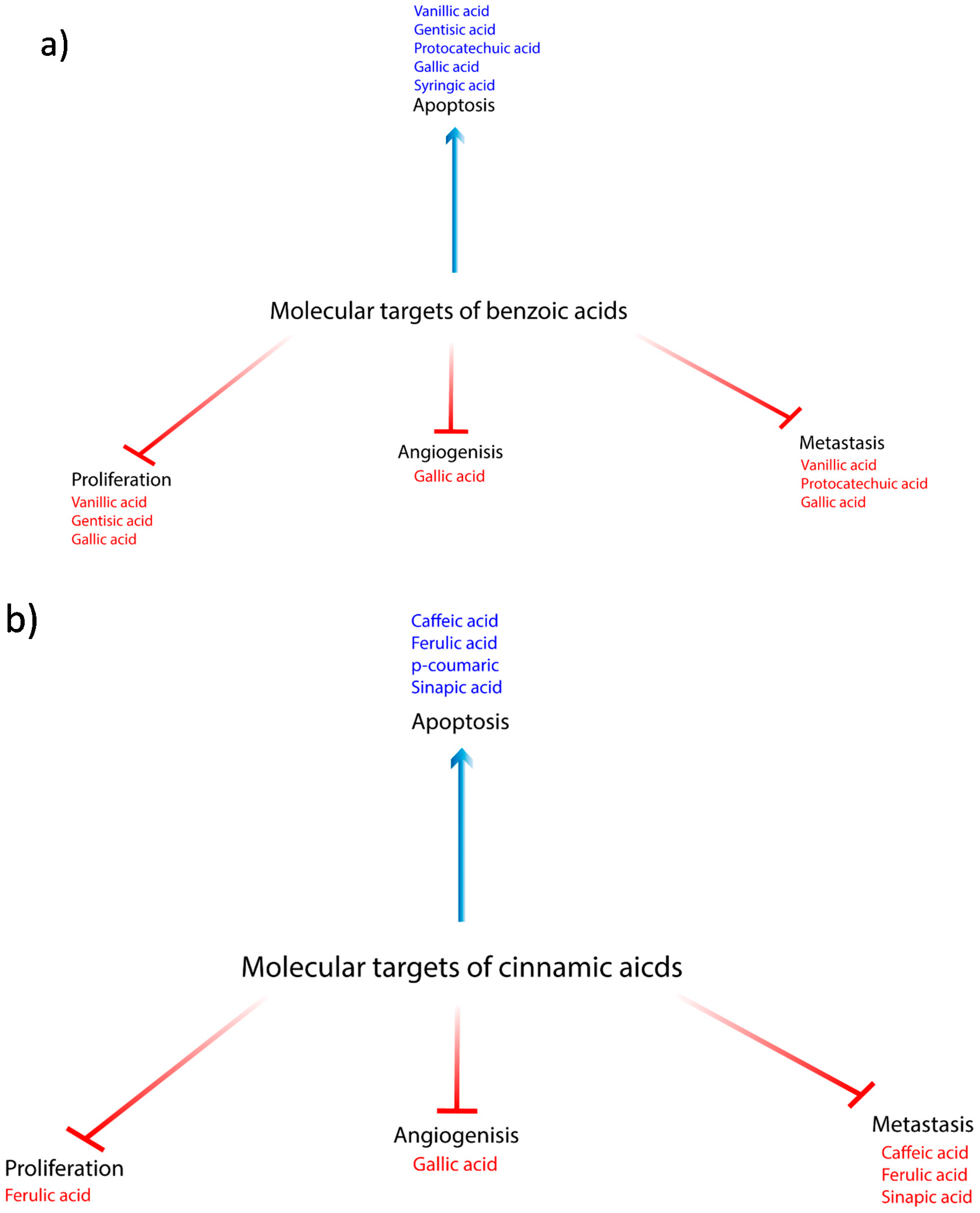 Biomolecules 10 00221 g004
