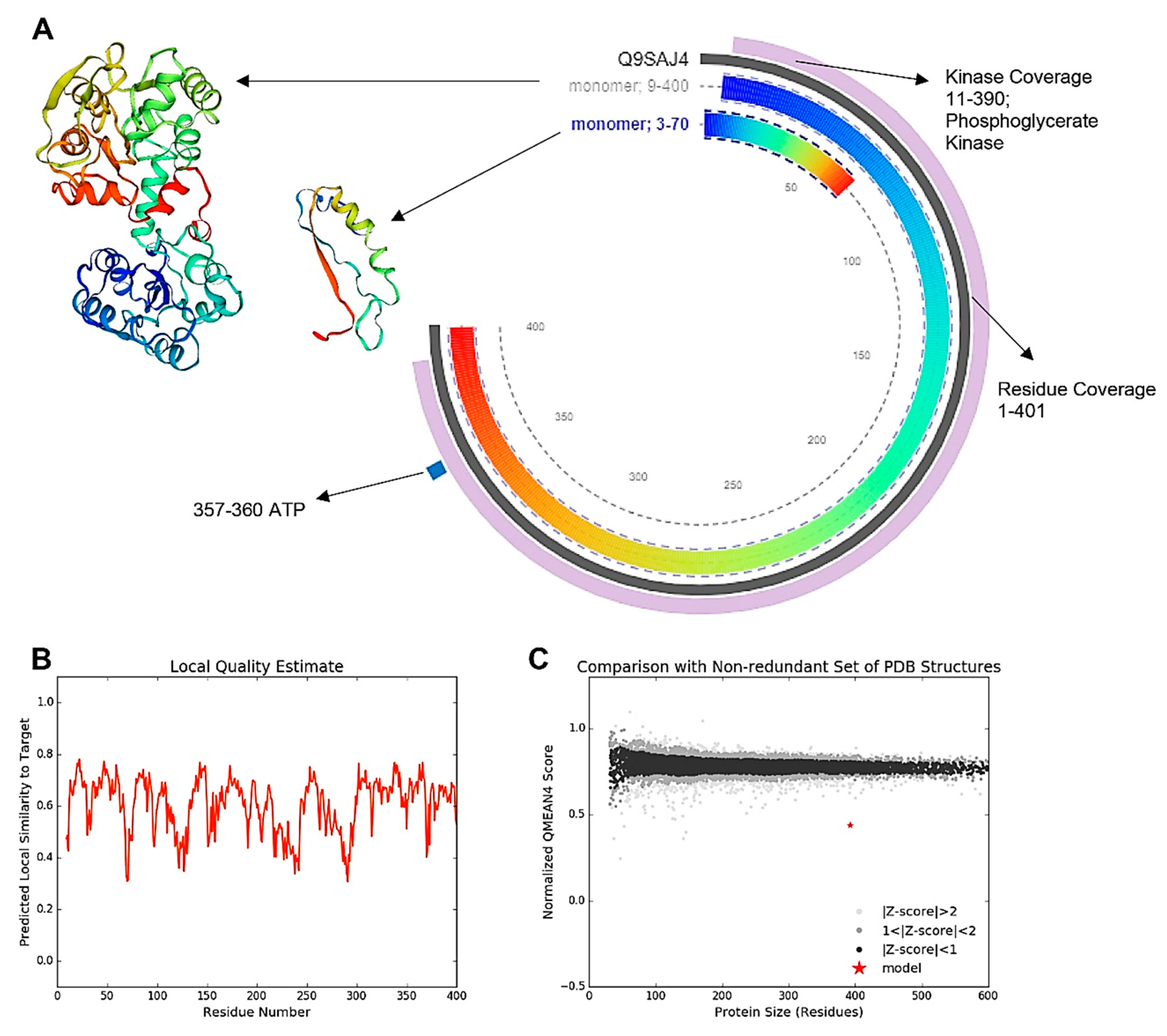 Biomolecules 10 00224 g004 Biomolecules 10 00224 g004