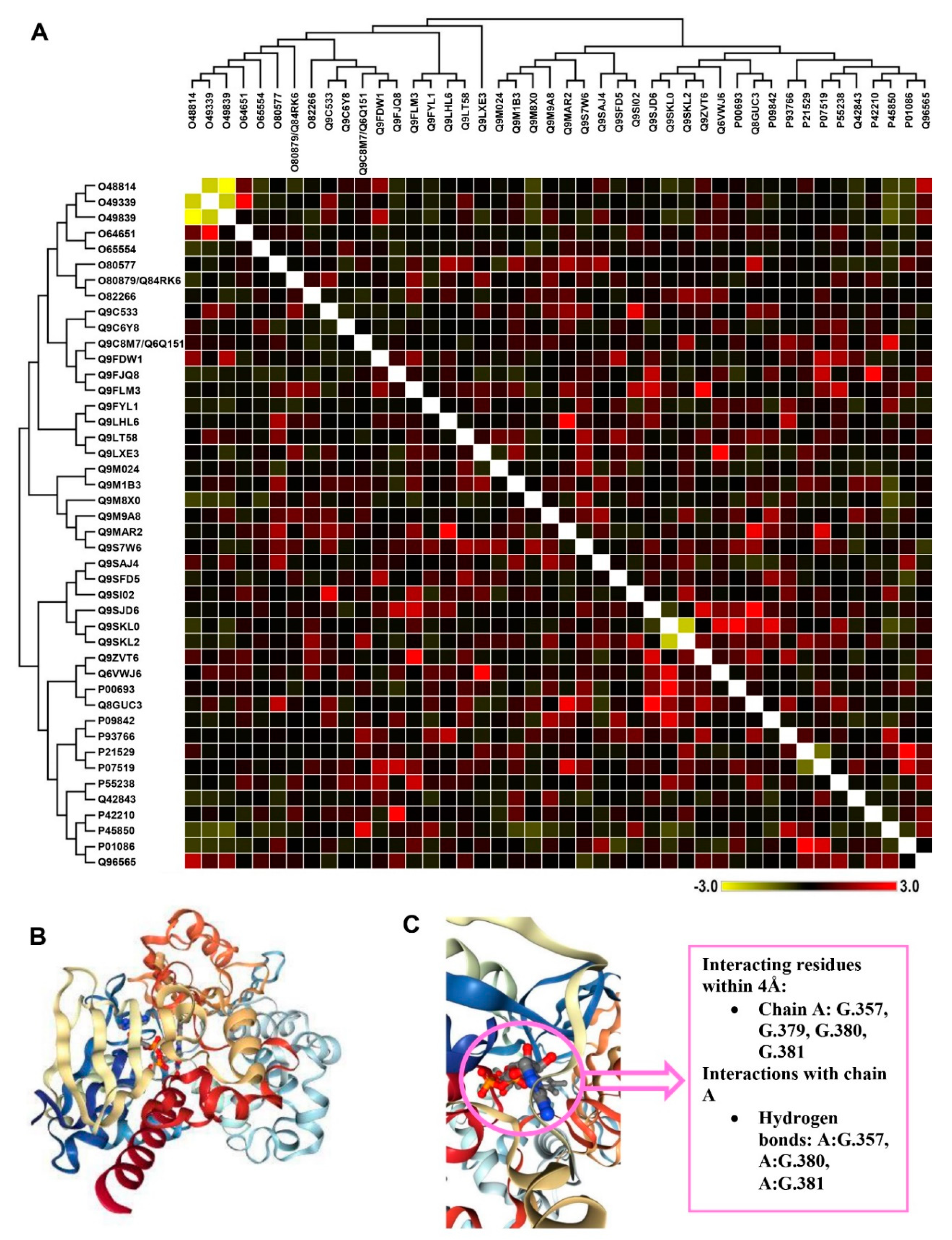 Biomolecules 10 00224 g005 Biomolecules 10 00224 g005