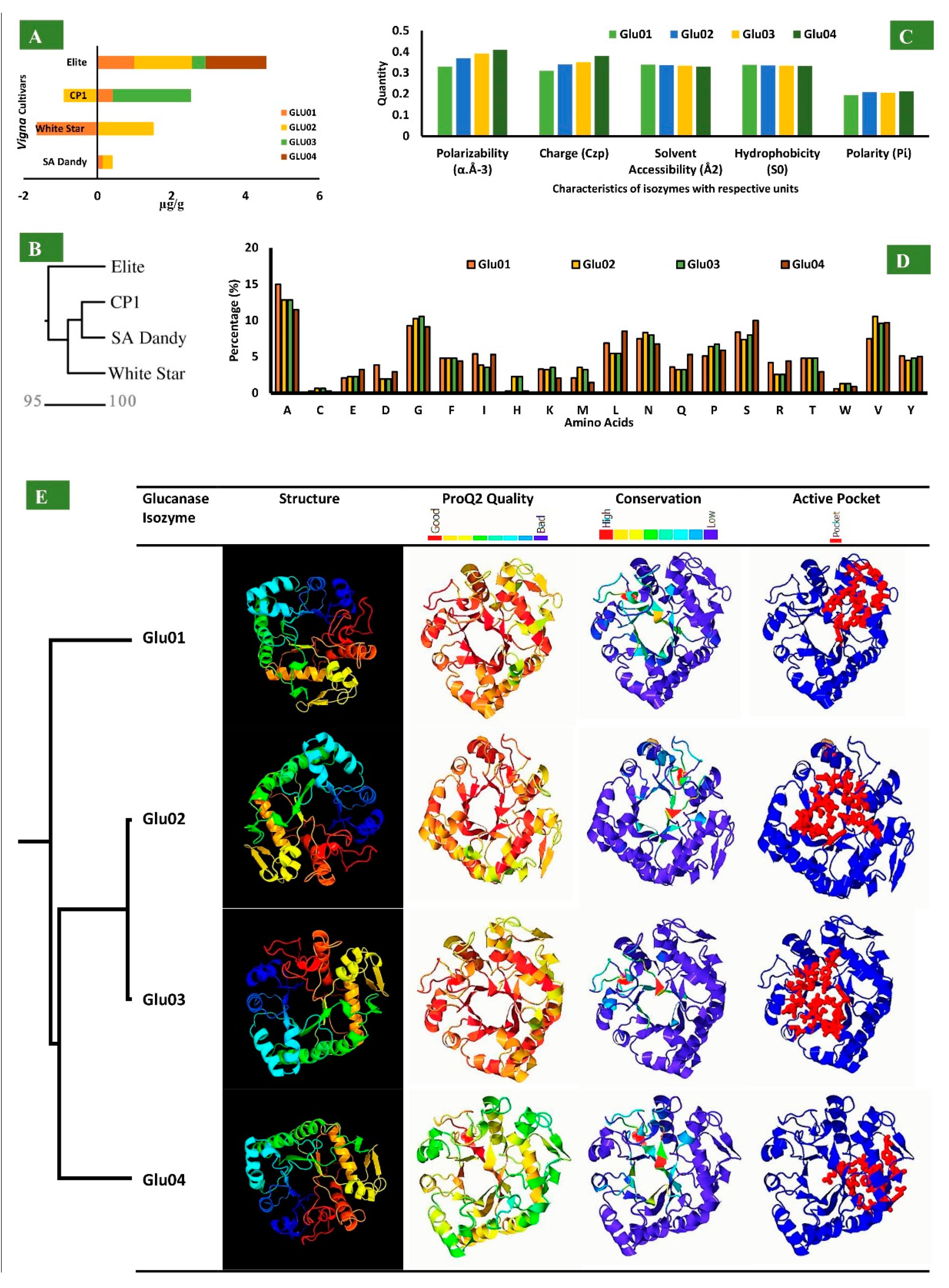 Biomolecules 10 00224 g007 Biomolecules 10 00224 g007
