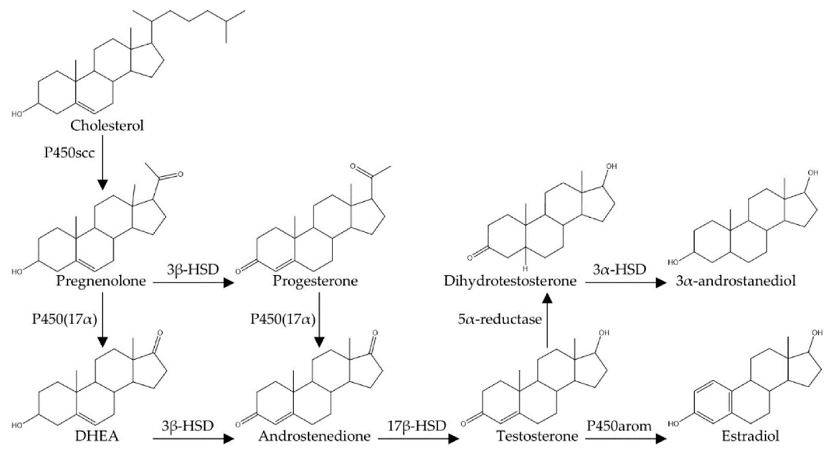 Biomolecules 10 00225 g001