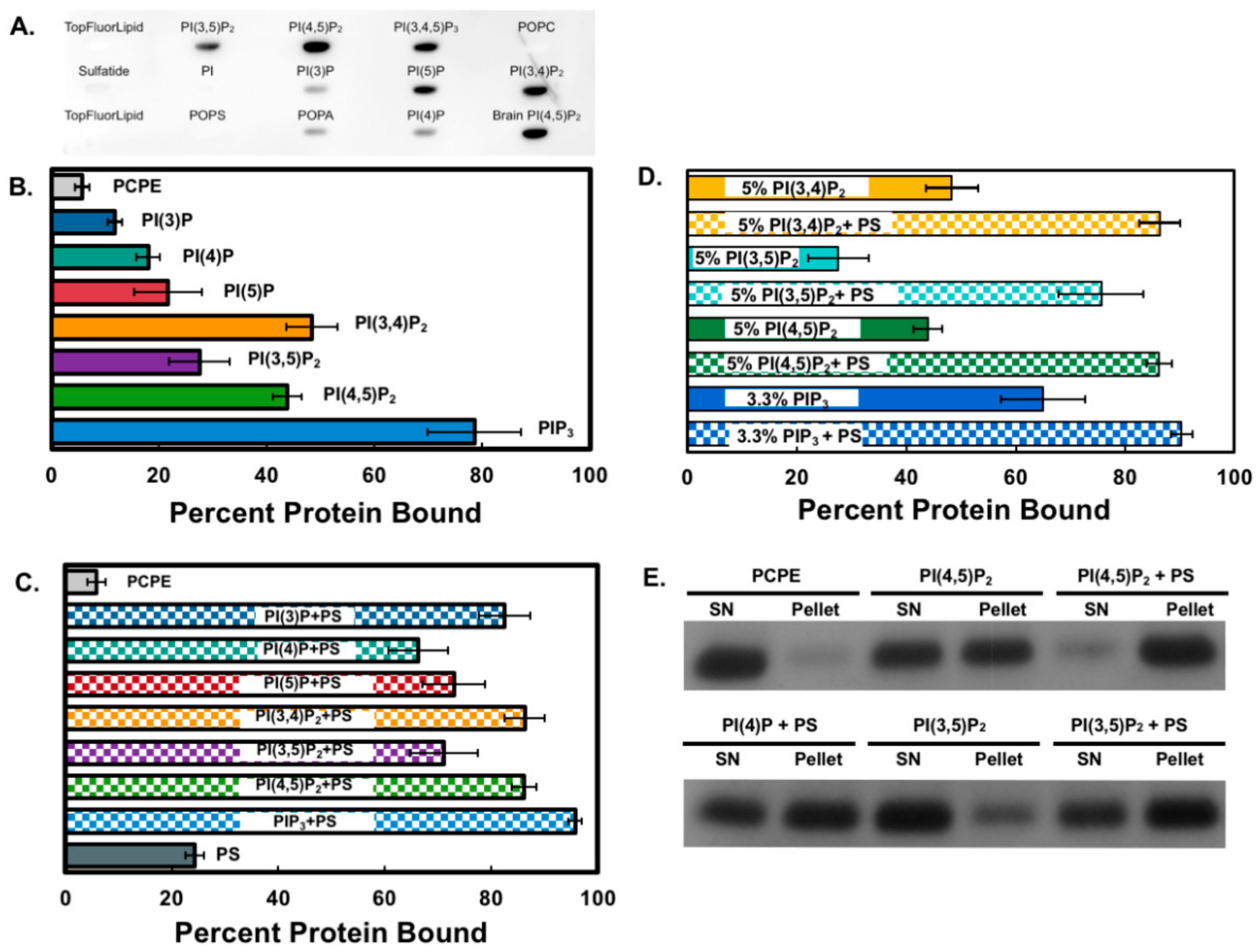 Biomolecules 10 00229 g001