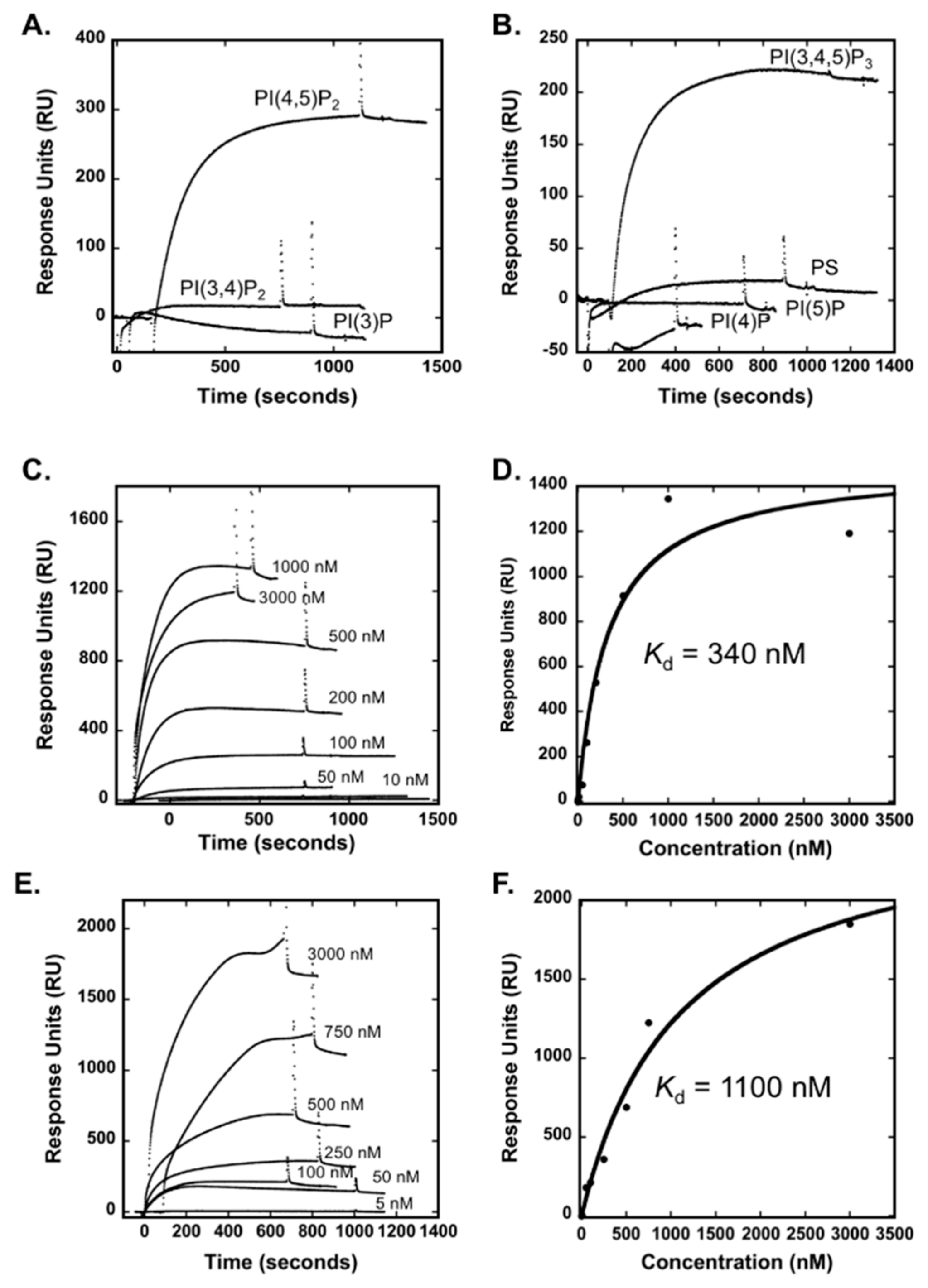 Biomolecules 10 00229 g002