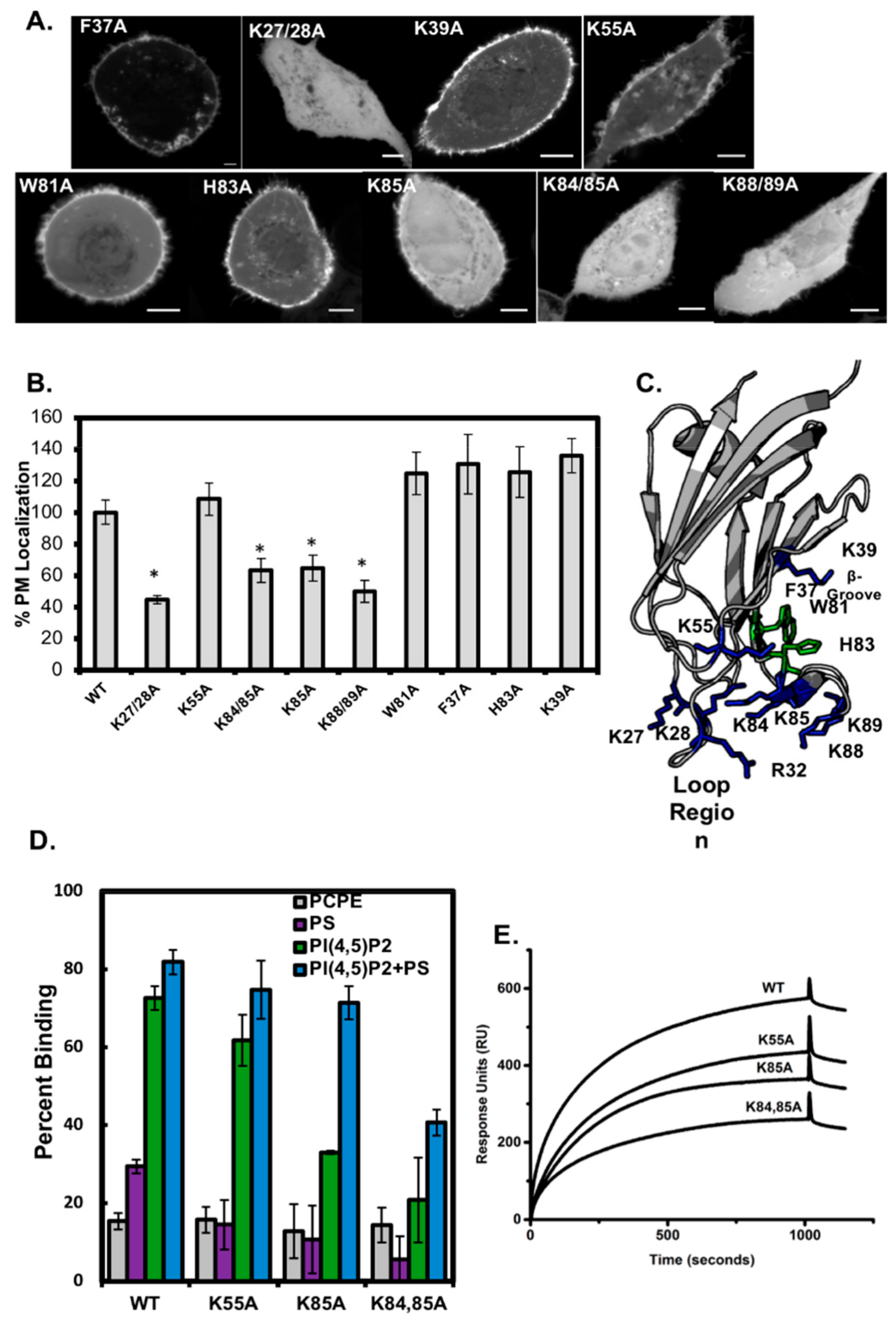 Biomolecules 10 00229 g004