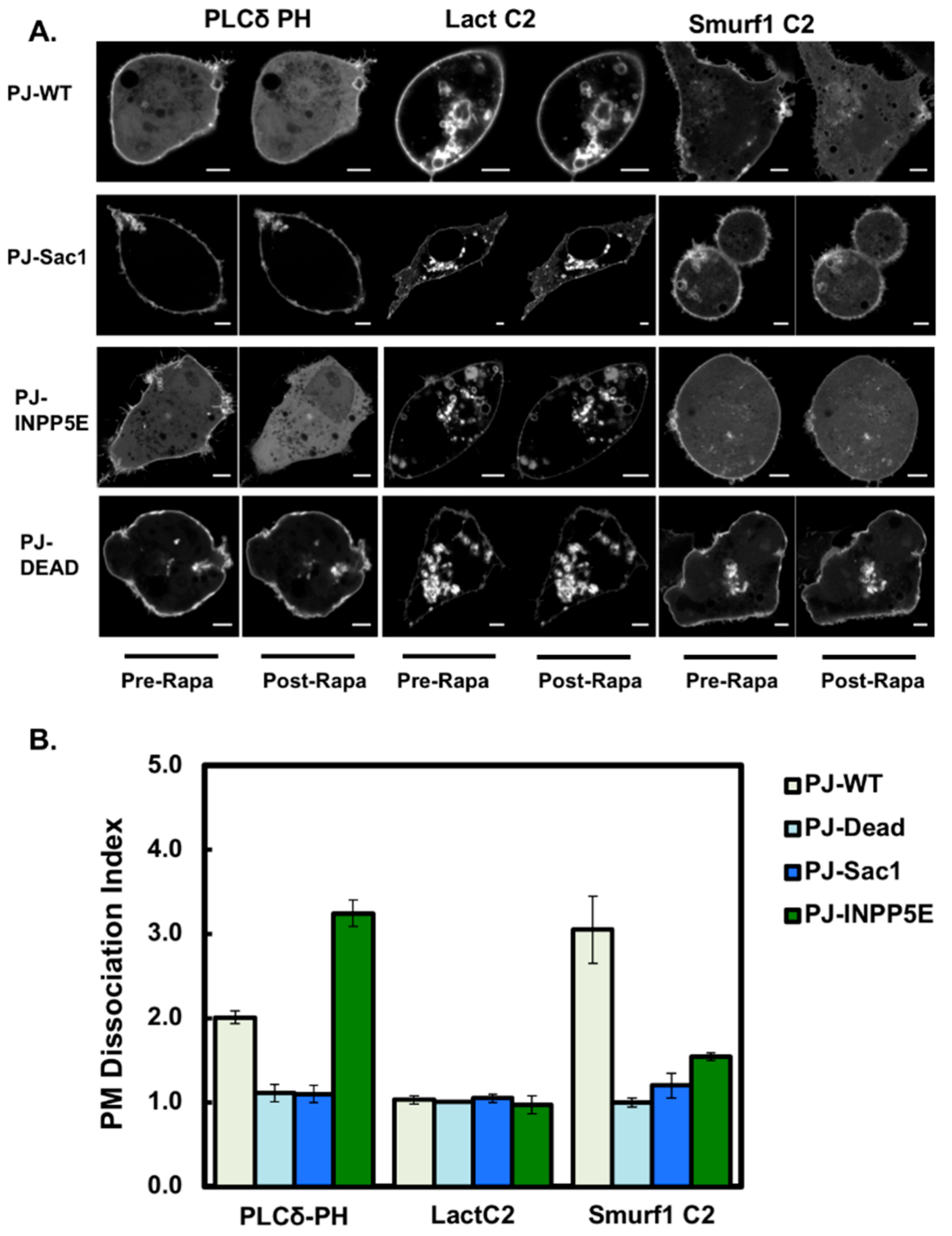 Biomolecules 10 00229 g006