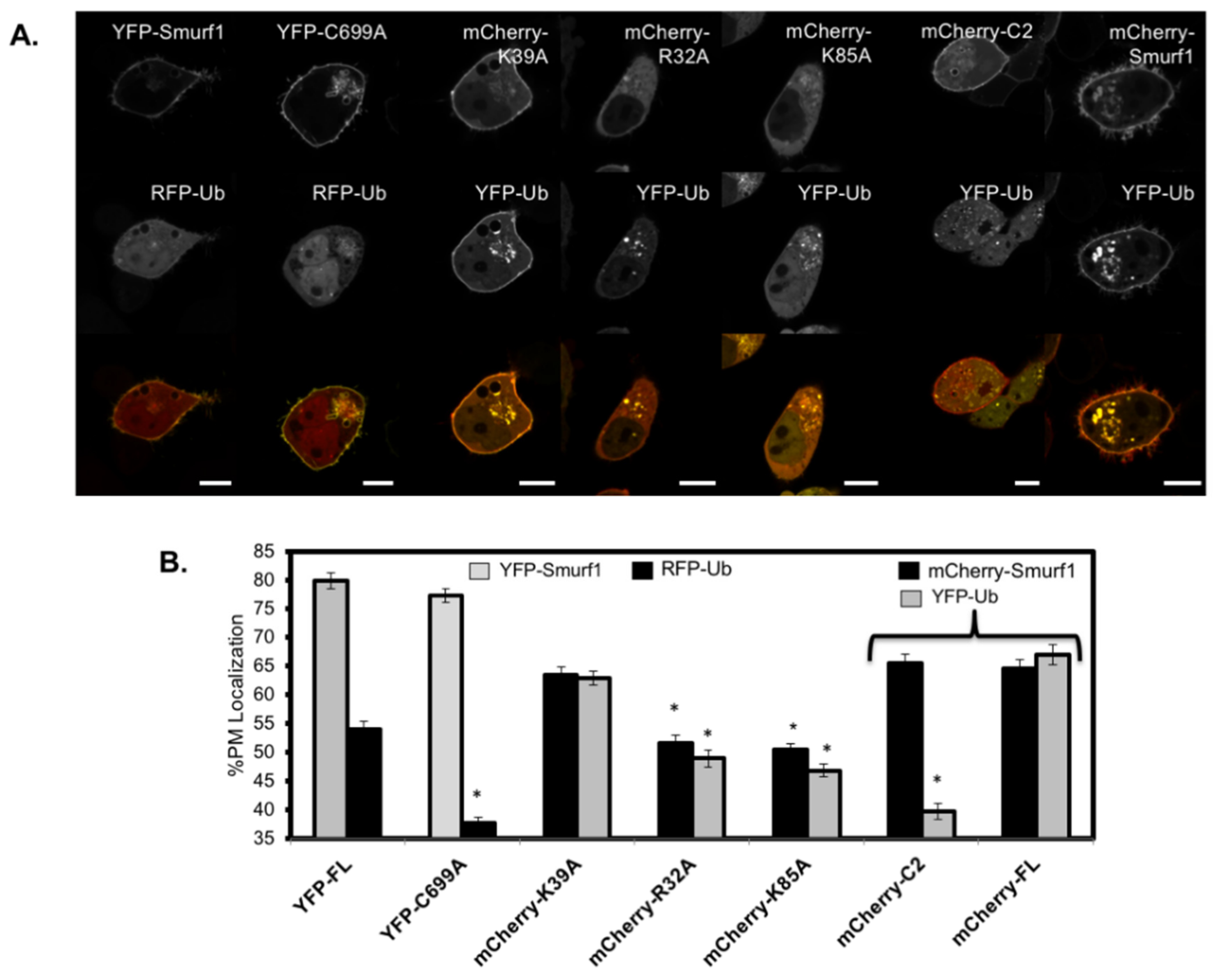 Biomolecules 10 00229 g007
