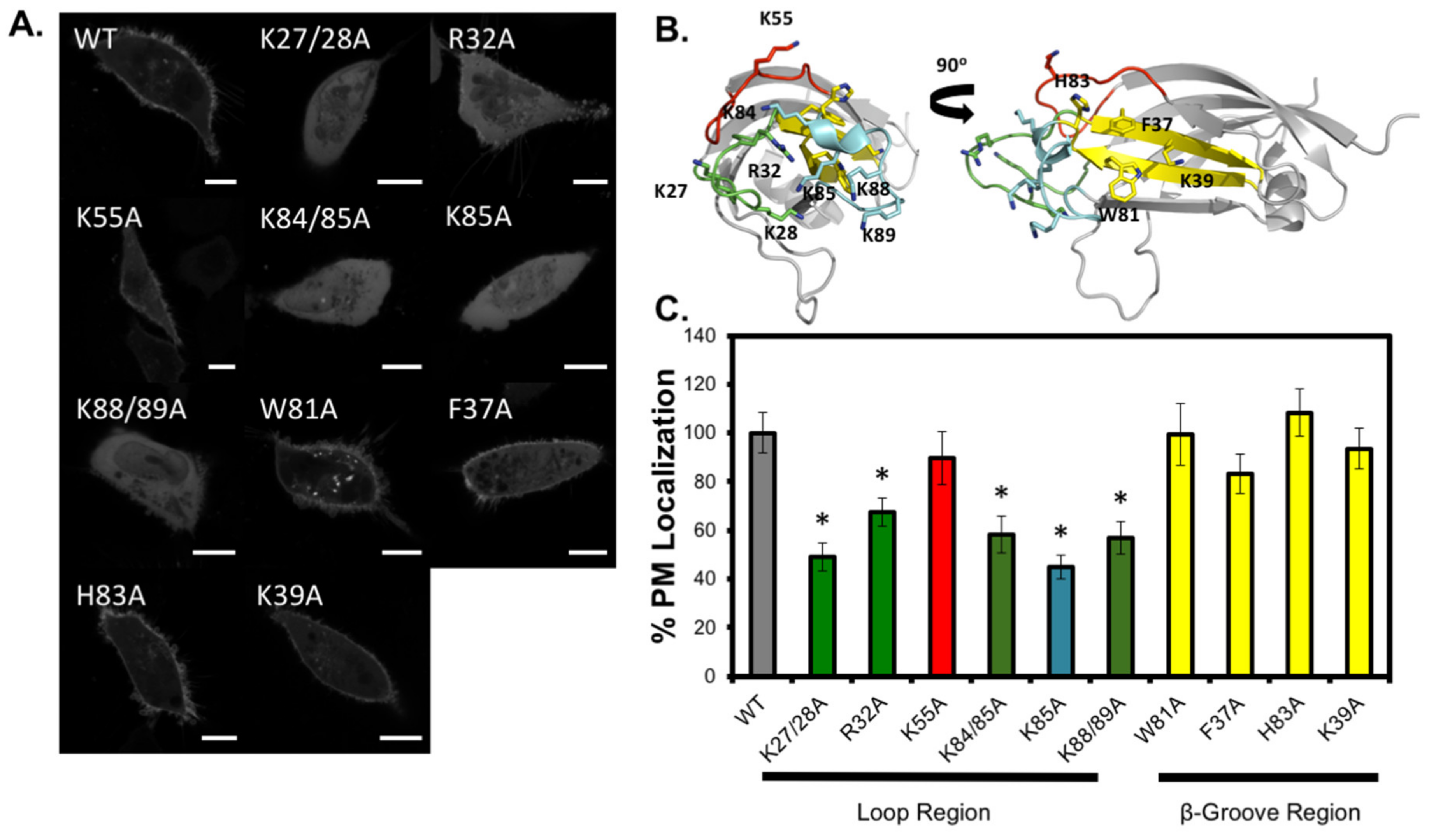 Biomolecules 10 00229 g008