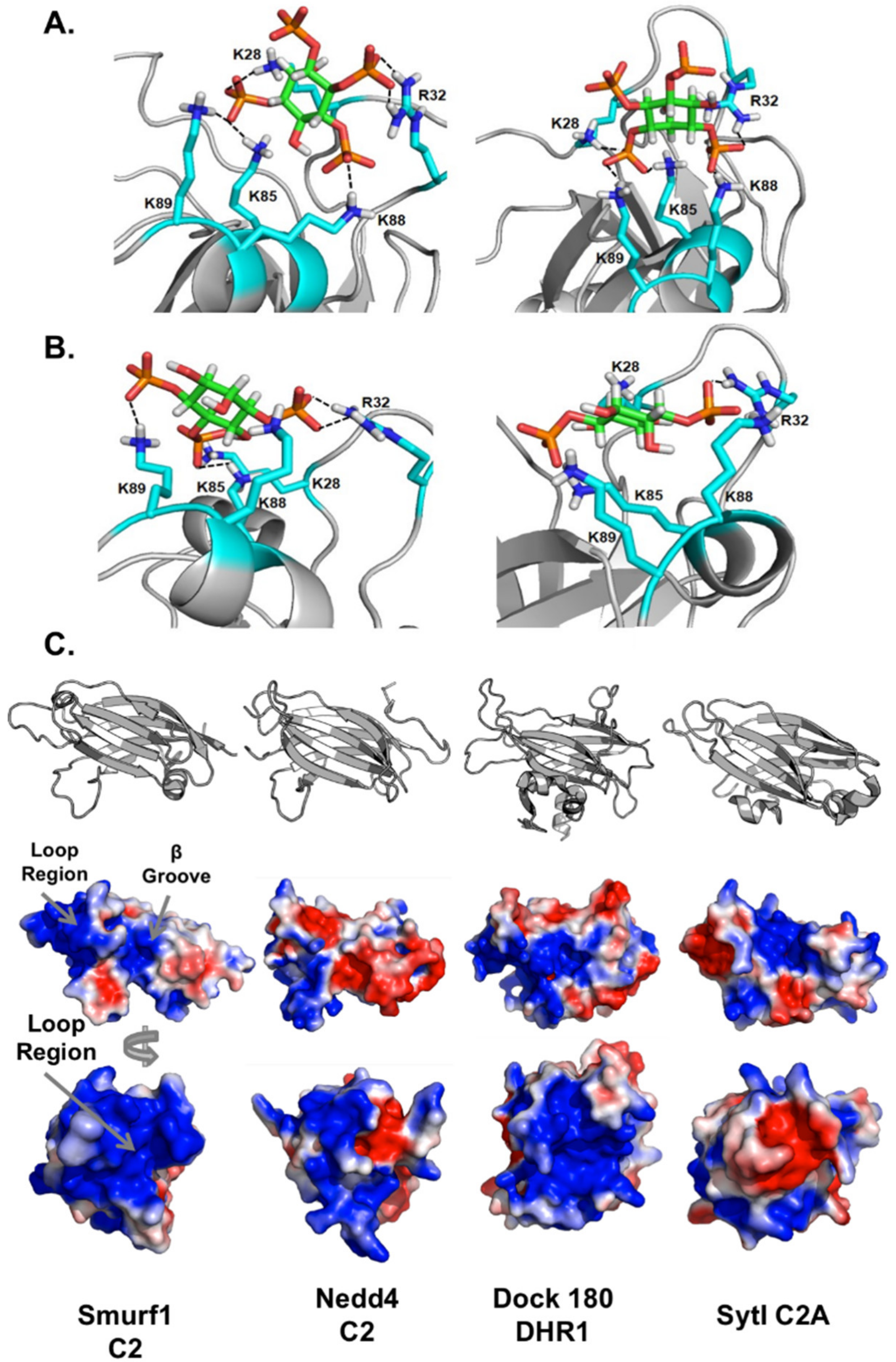 Biomolecules 10 00229 g009