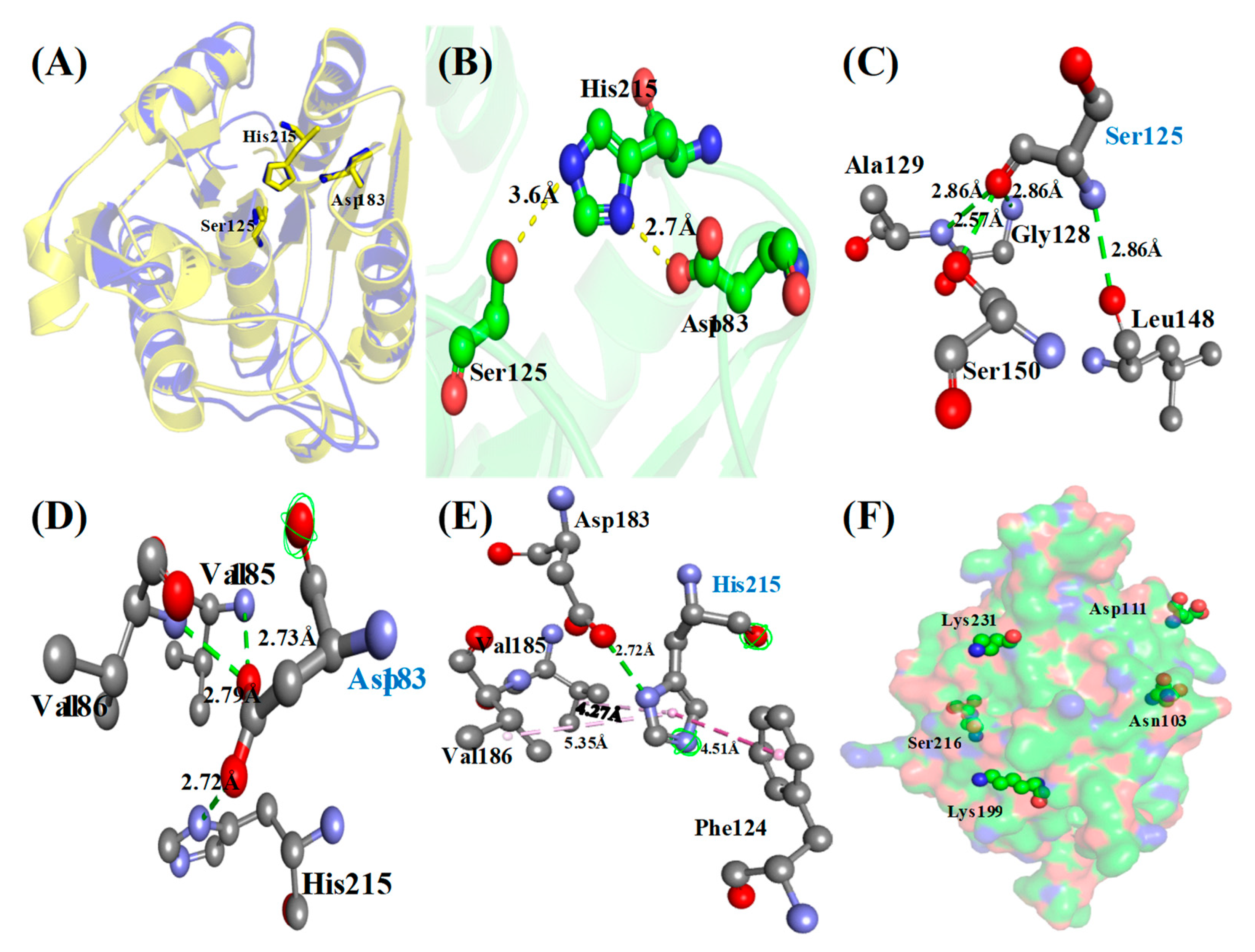 Biomolecules 10 00231 g005