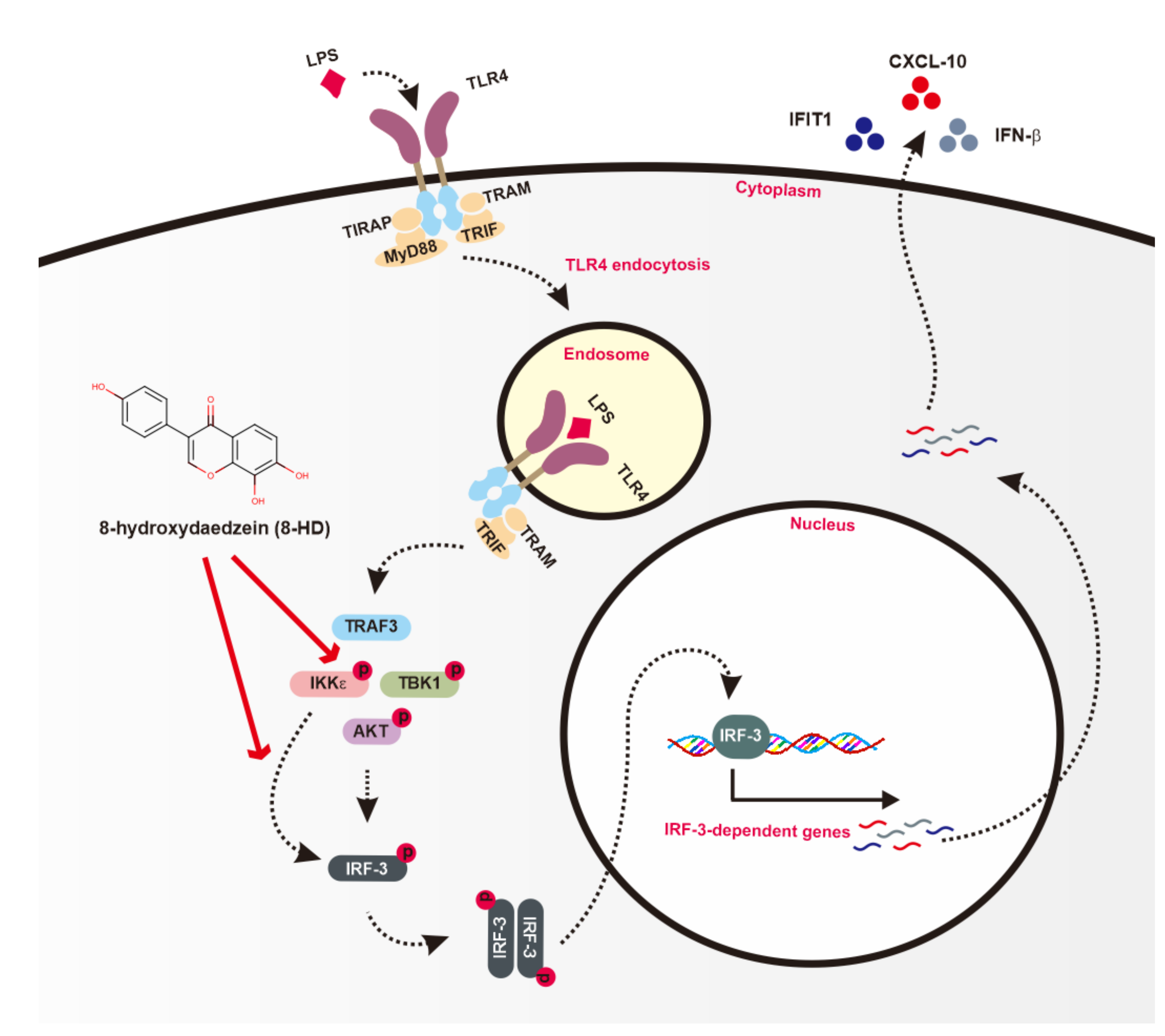 Biomolecules 10 00238 g006 Biomolecules 10 00238 g006