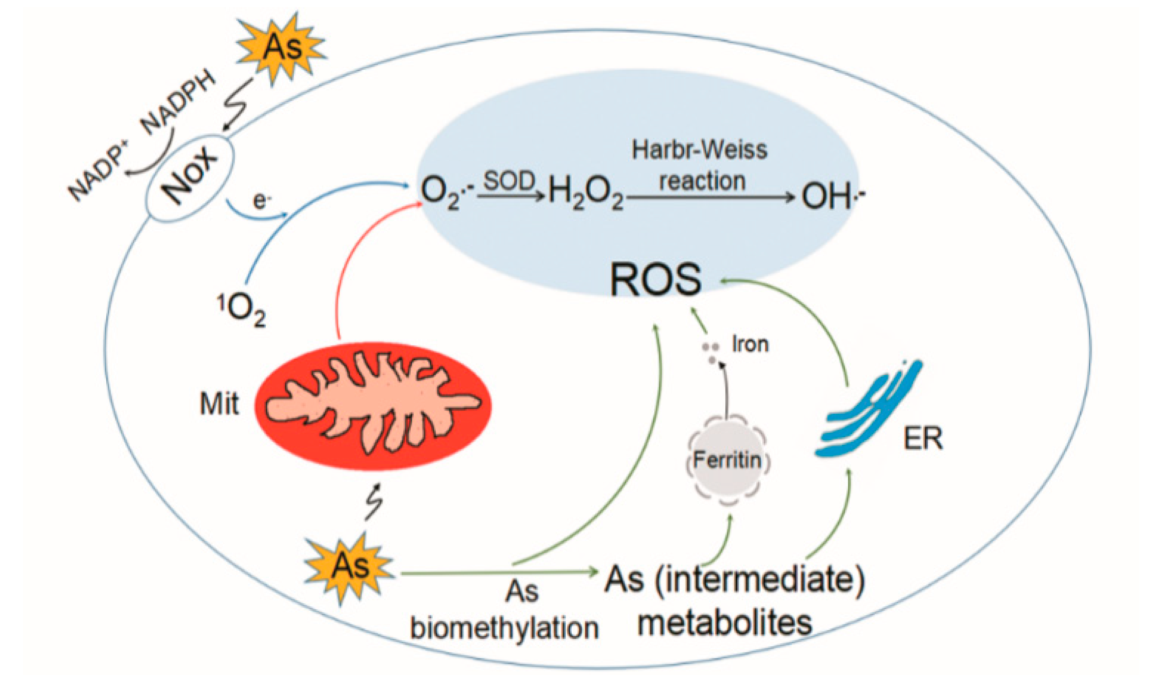 Biomolecules 10 00240 g001