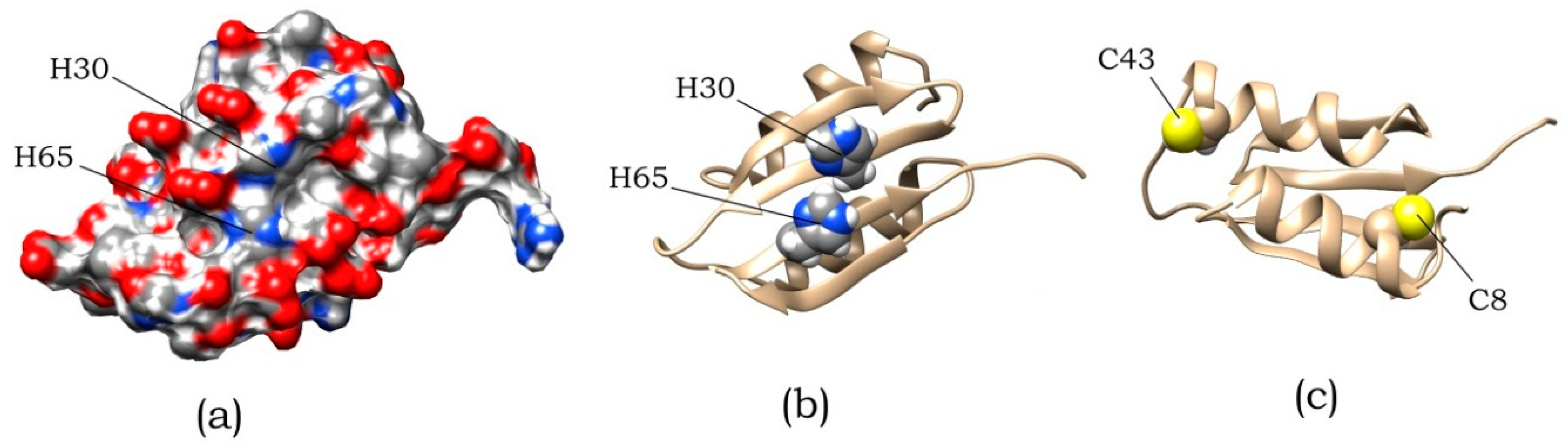 Biomolecules 10 00241 g007 Biomolecules 10 00241 g007